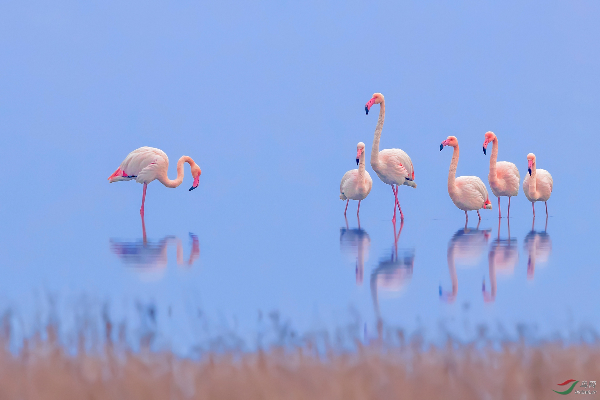 0005. 10605_�����Ǹ��_�Ű�-��ʵҰ������.jpg