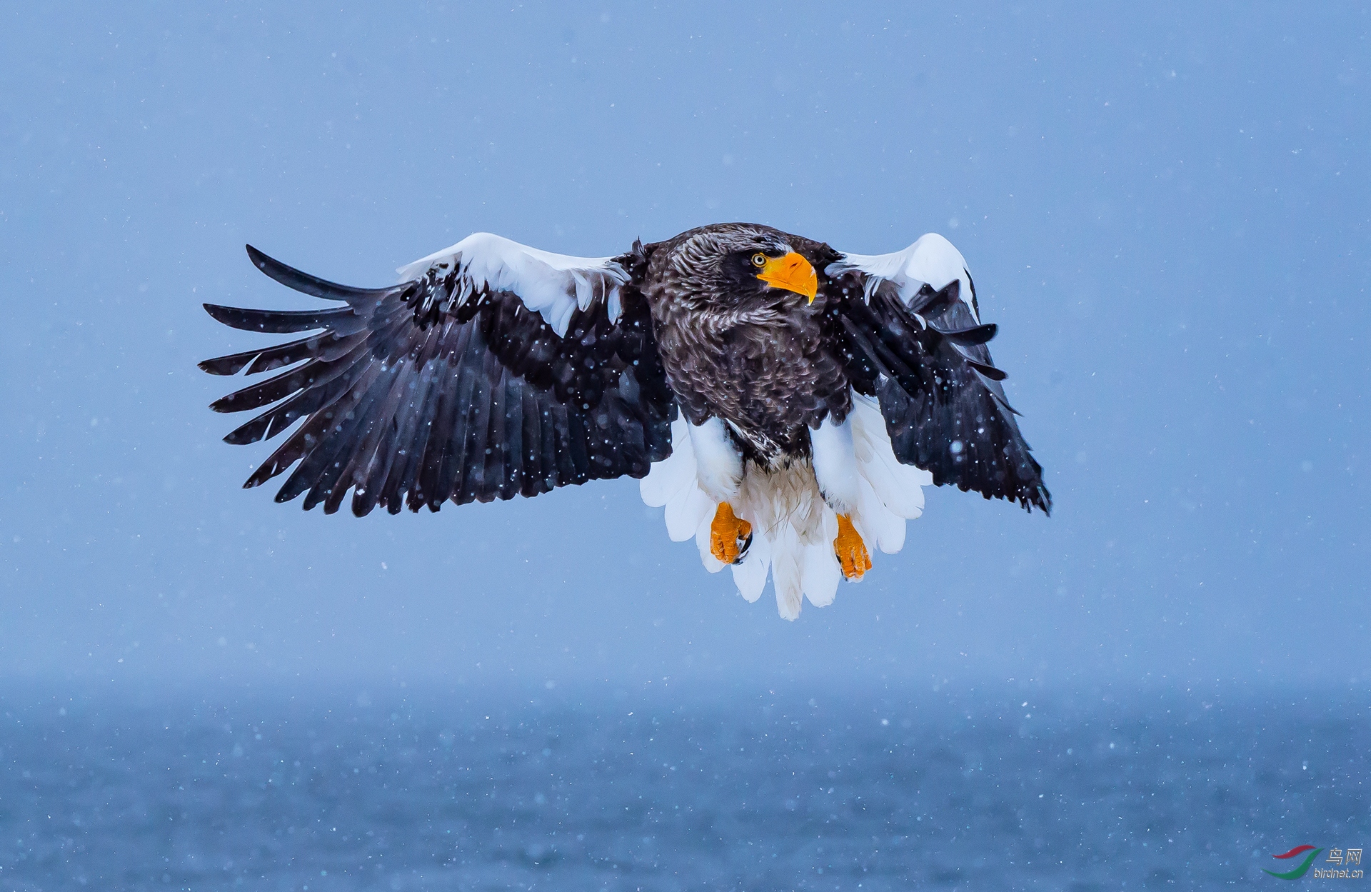 0035. 10707_���а���_��ʵҰ������.jpg