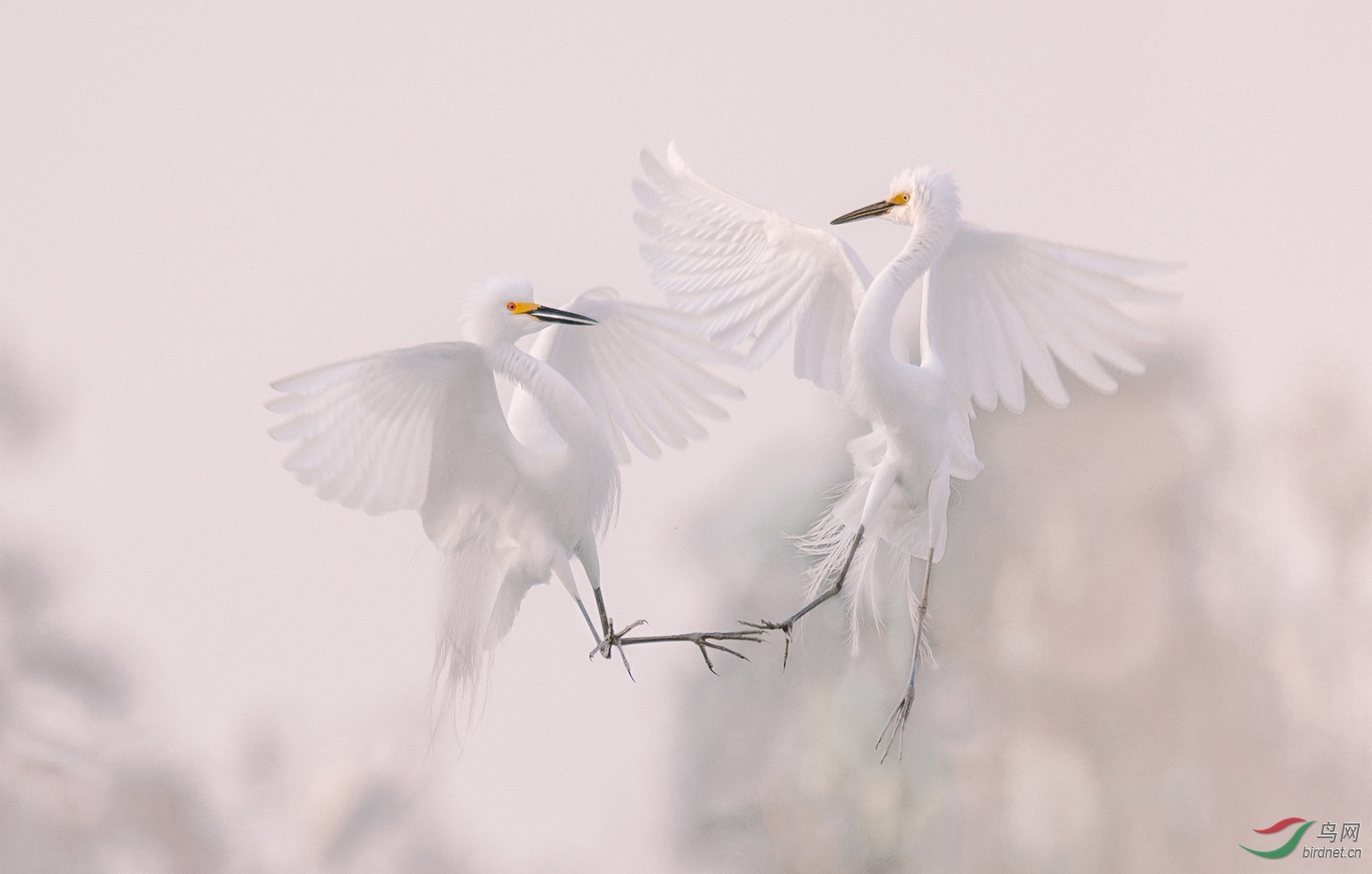 0106. 10845_���ж���_��ʵҰ������.jpg