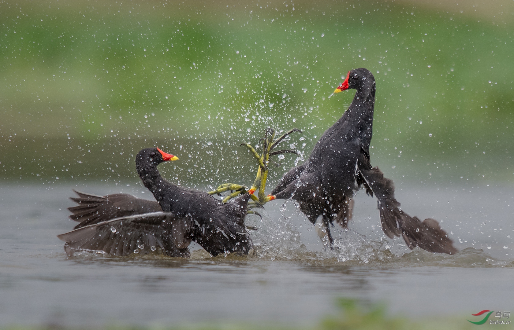 0120. 10882_��ˮ����ս��_-�����С����ʵҰ������.jpg