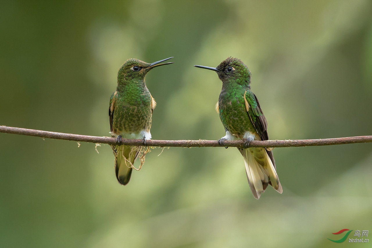 0148. 10953_�ԵȽ���_��ʵҰ������.jpg