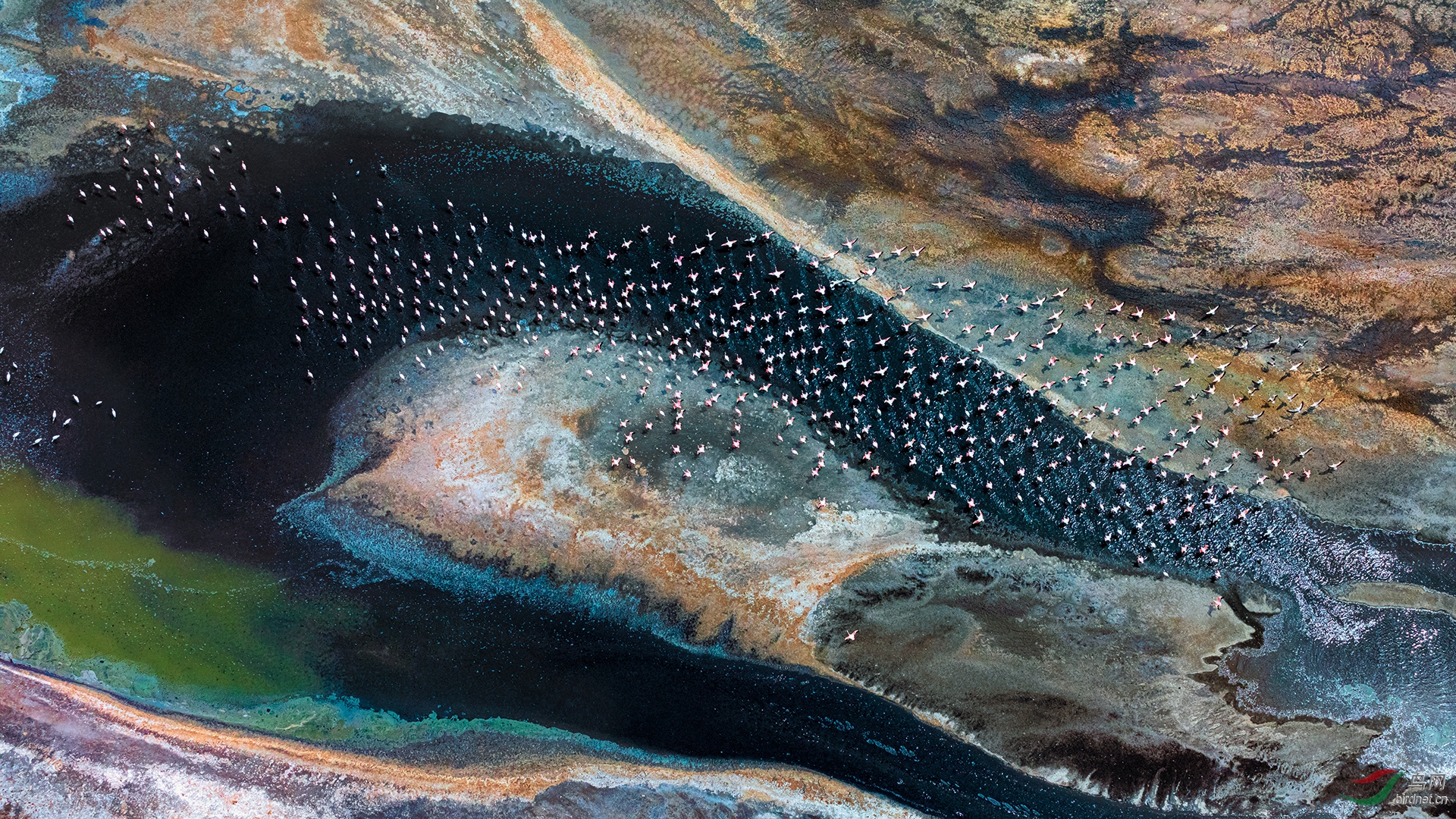 0129. 10901_�̰ײ�_����001-��ʵҰ������.jpg