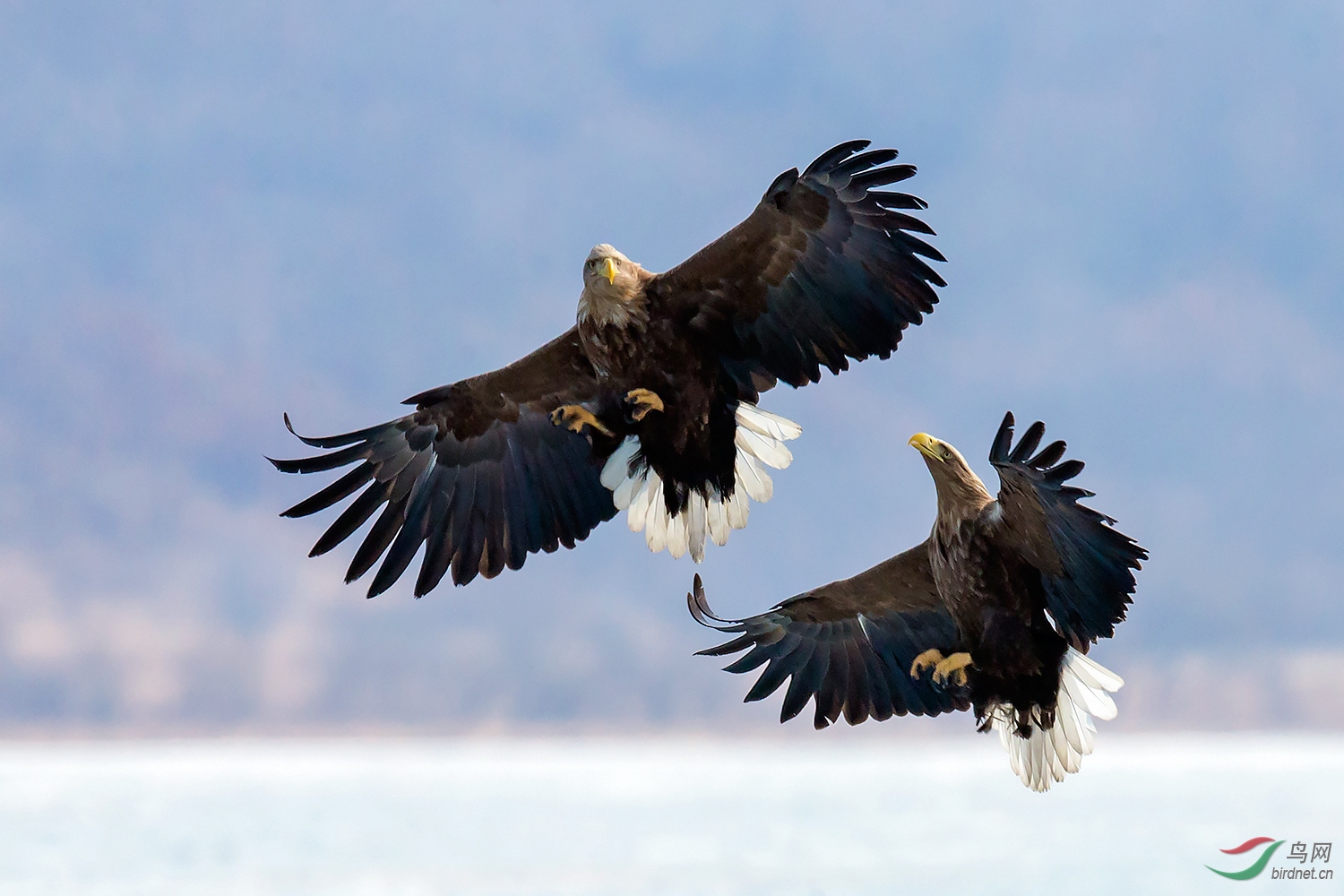 0206. 11145_���и�_��ʵҰ������.jpg