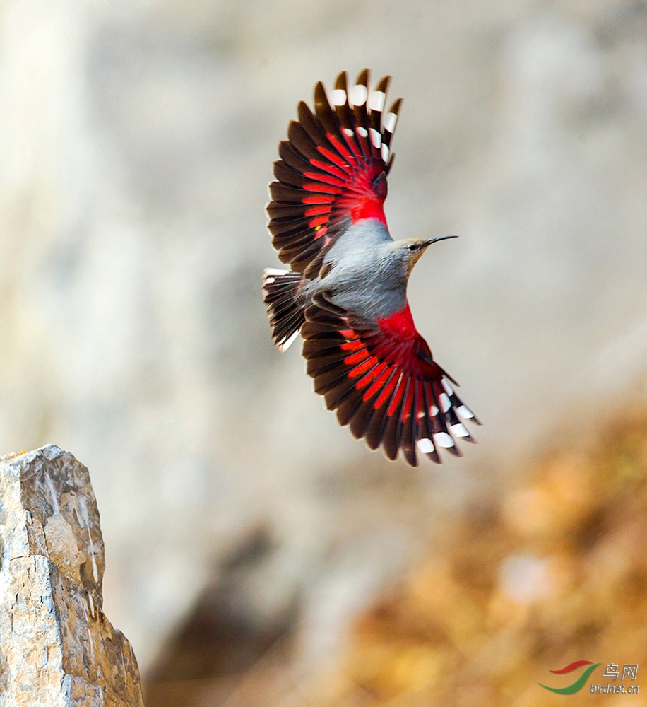 0301. 11352_����ȸ--������_��ʵҰ������.jpg