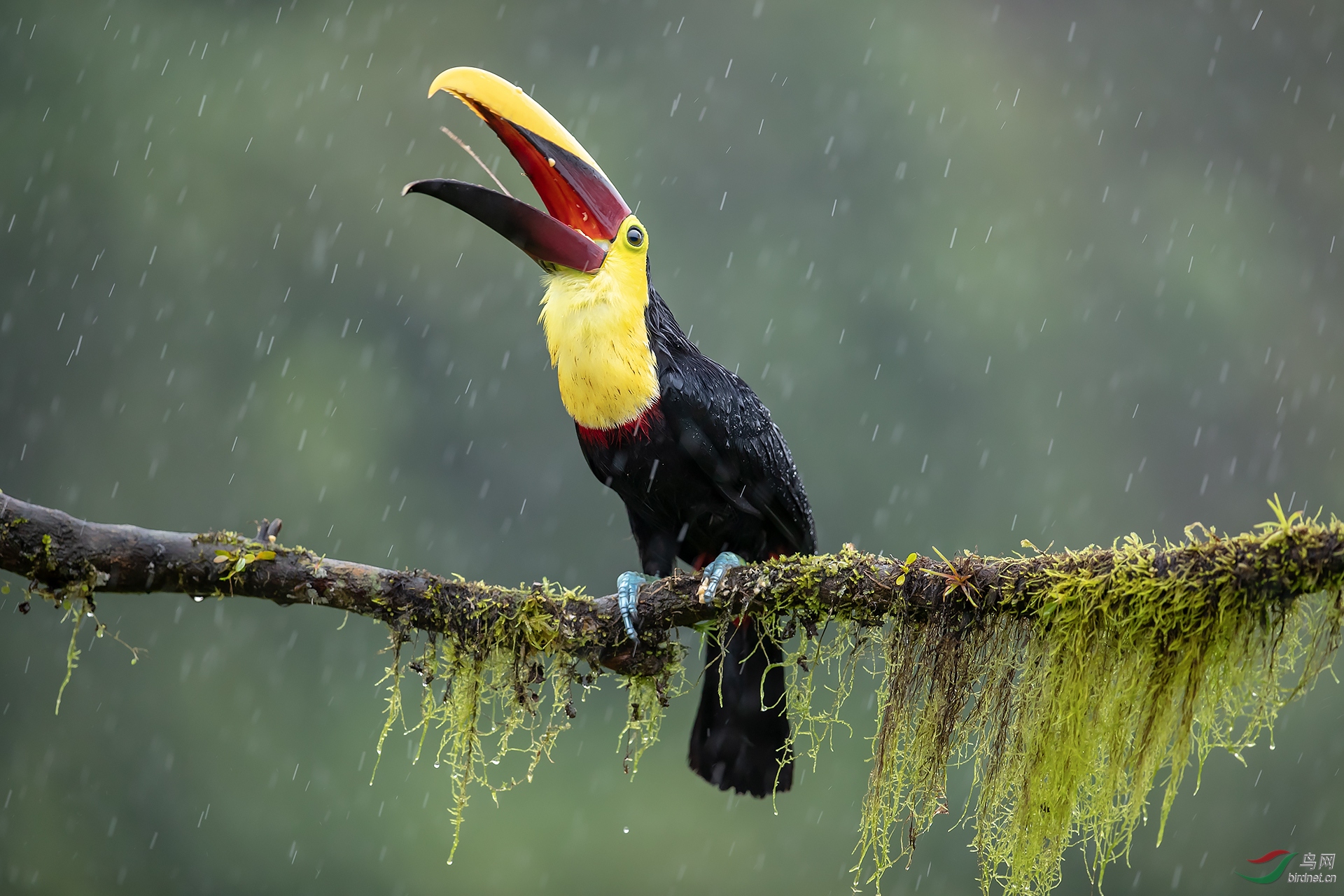 0540. 11886_���и質_��ʵҰ������.jpg