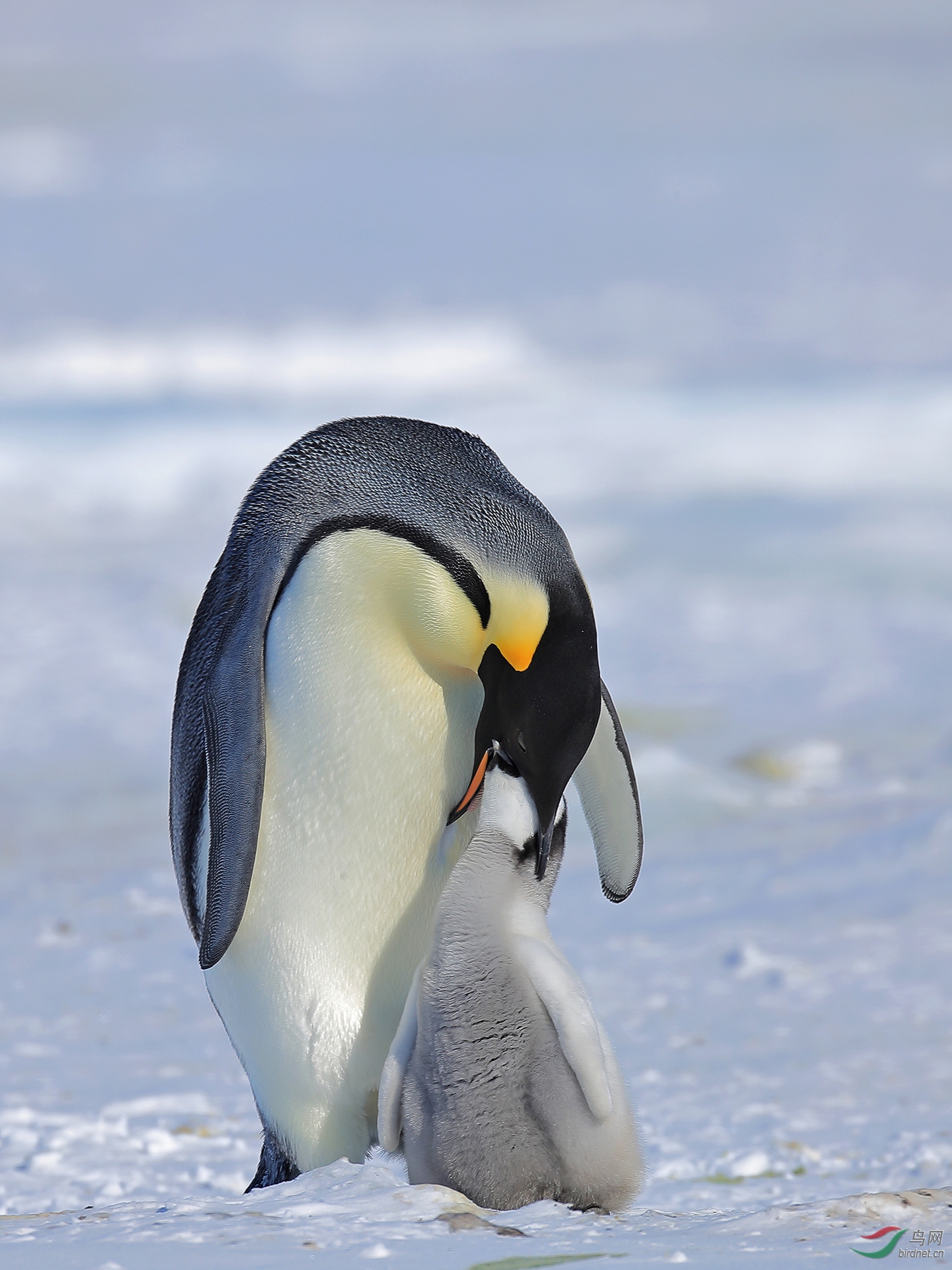 0970.ιʳ ̷�˺�.jpg