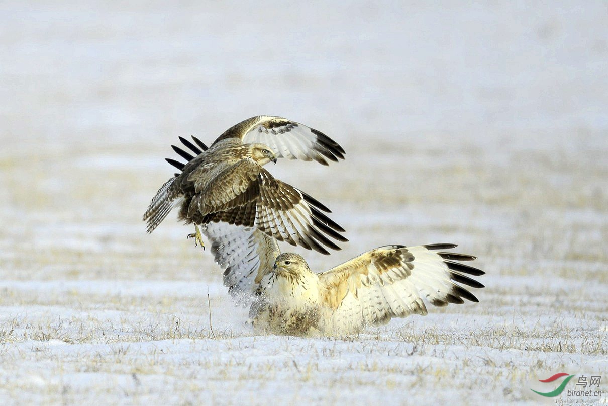 1254.���� ��Į����.jpg