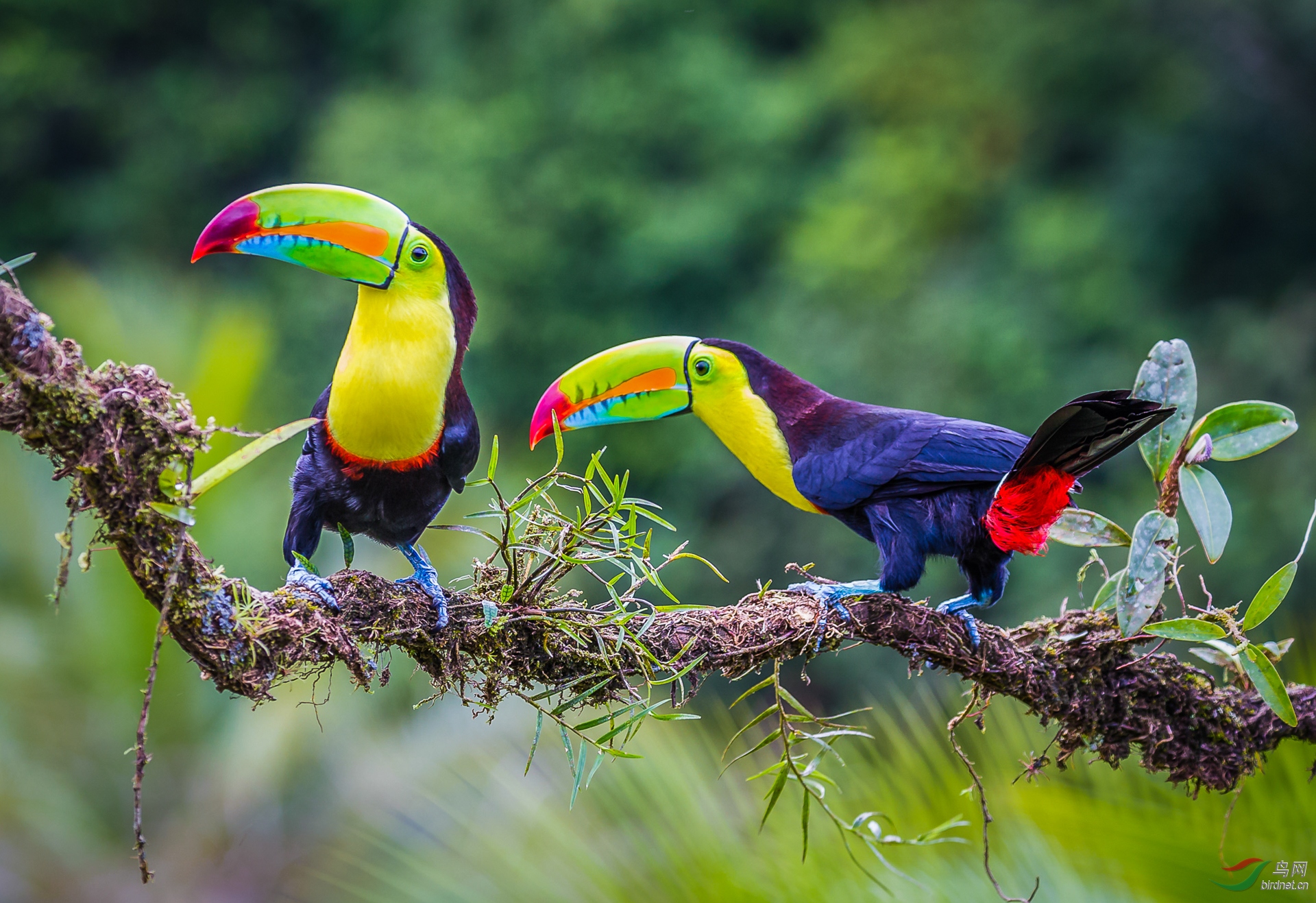 1777.ӭ����¡� ���������-���� ���.jpg