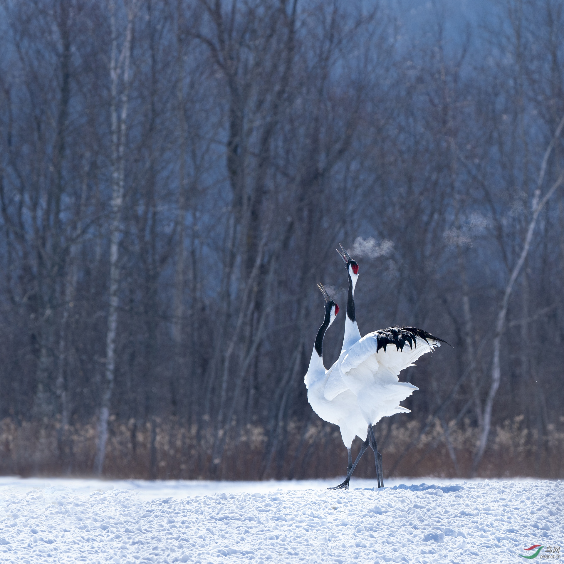 1824.��������֮�� -ݸ��.jpg