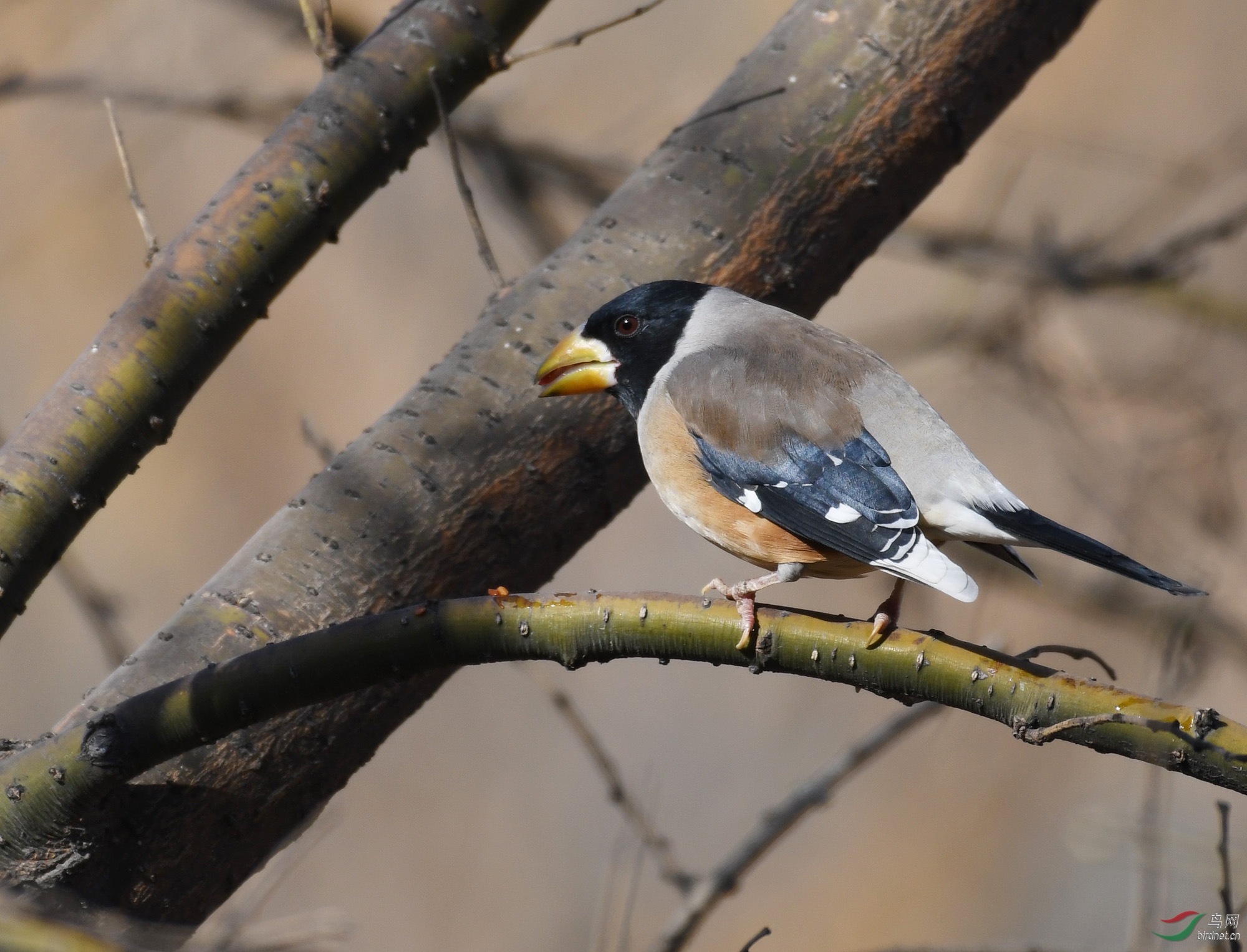 ������Ӱ 020����.jpg