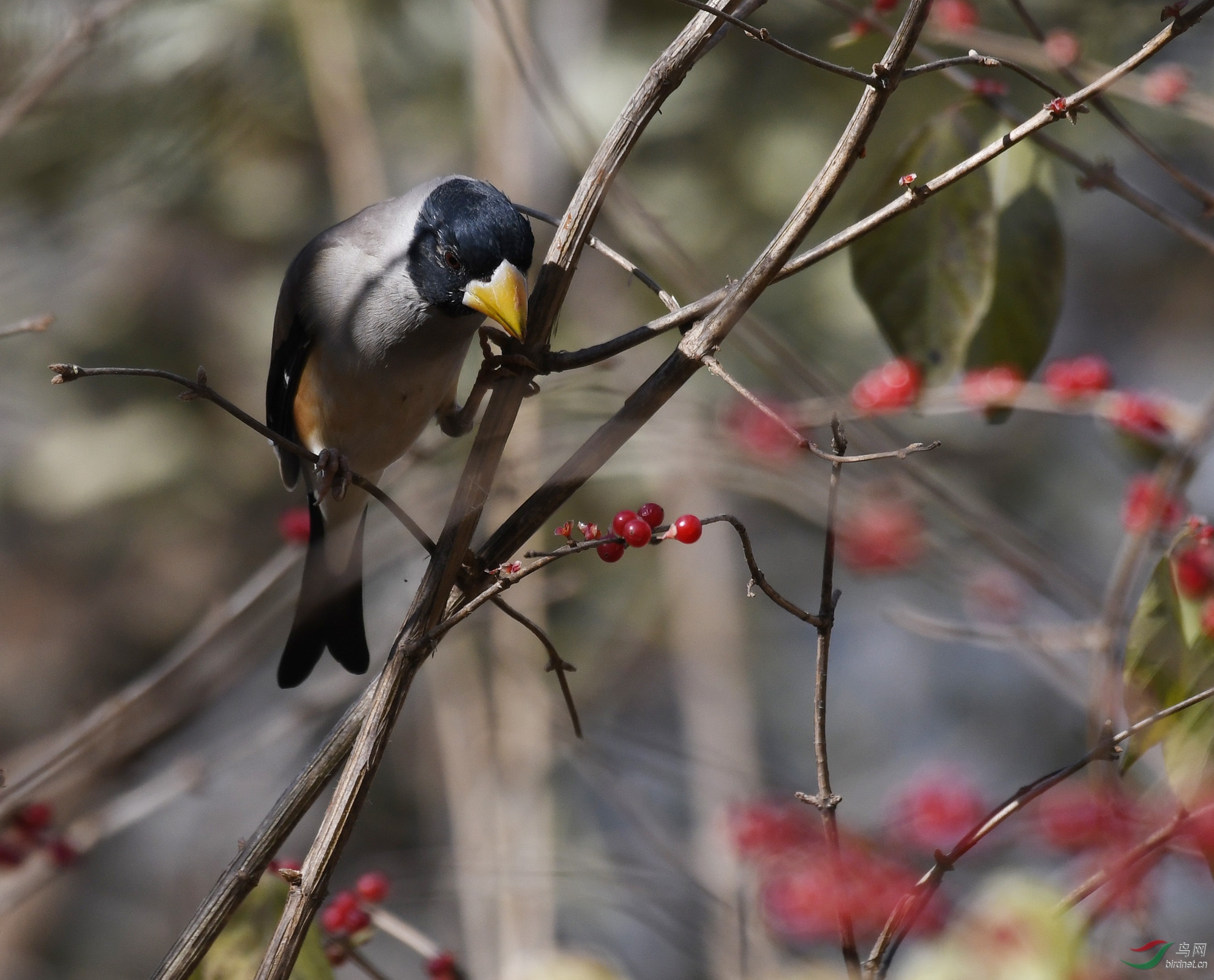 ������Ӱ 055����.jpg