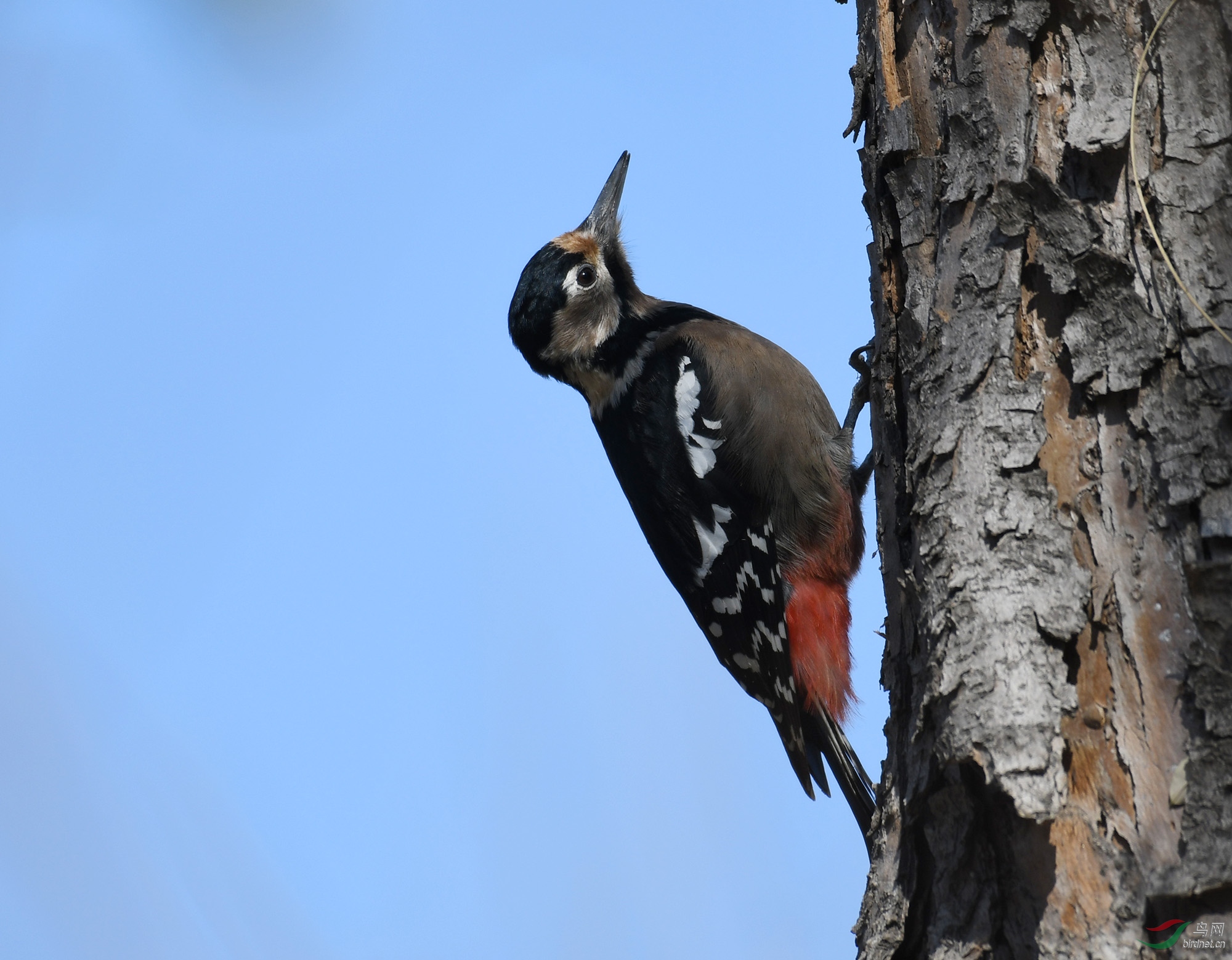 ������Ӱ 528����.jpg