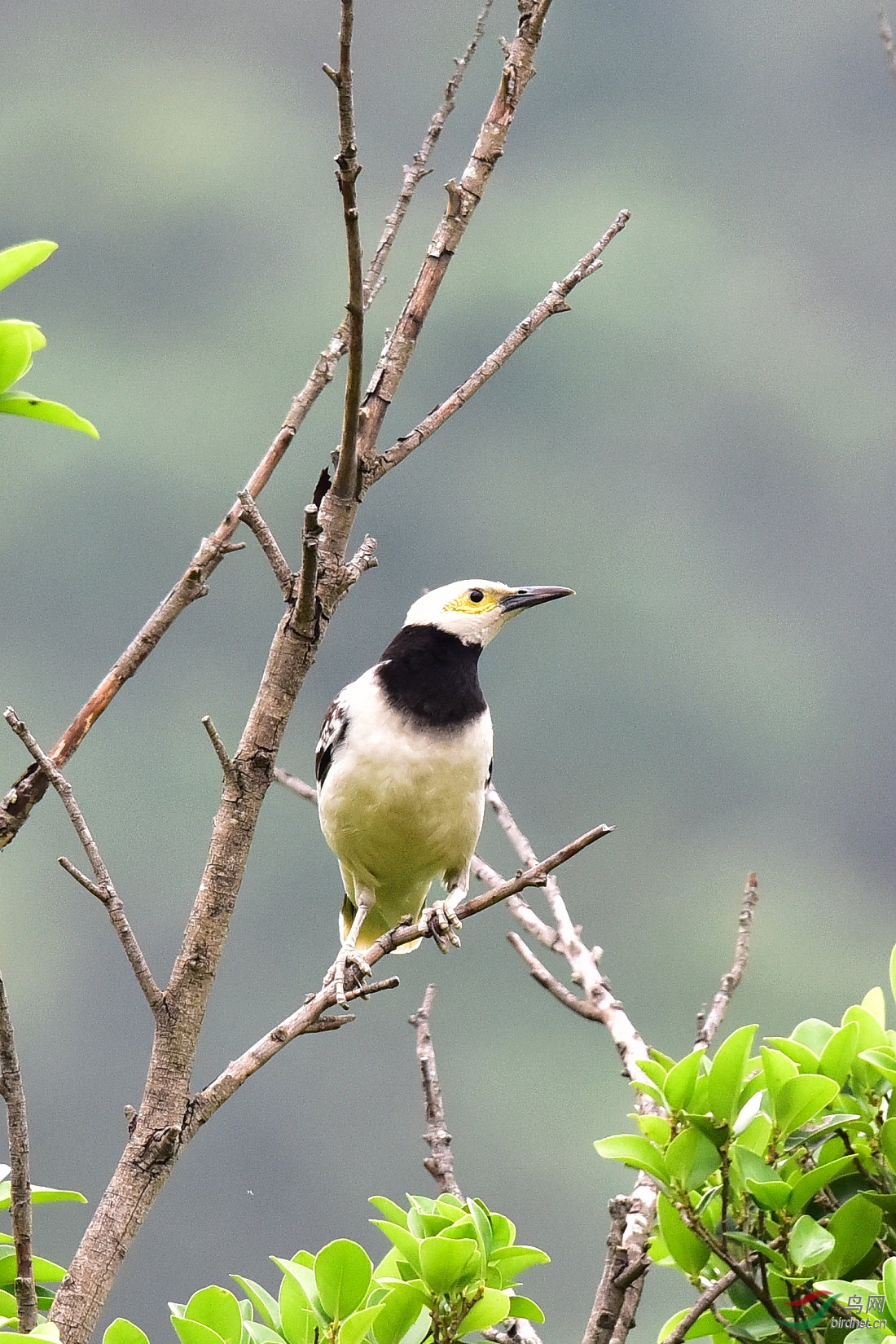 DSC_0381.JPG