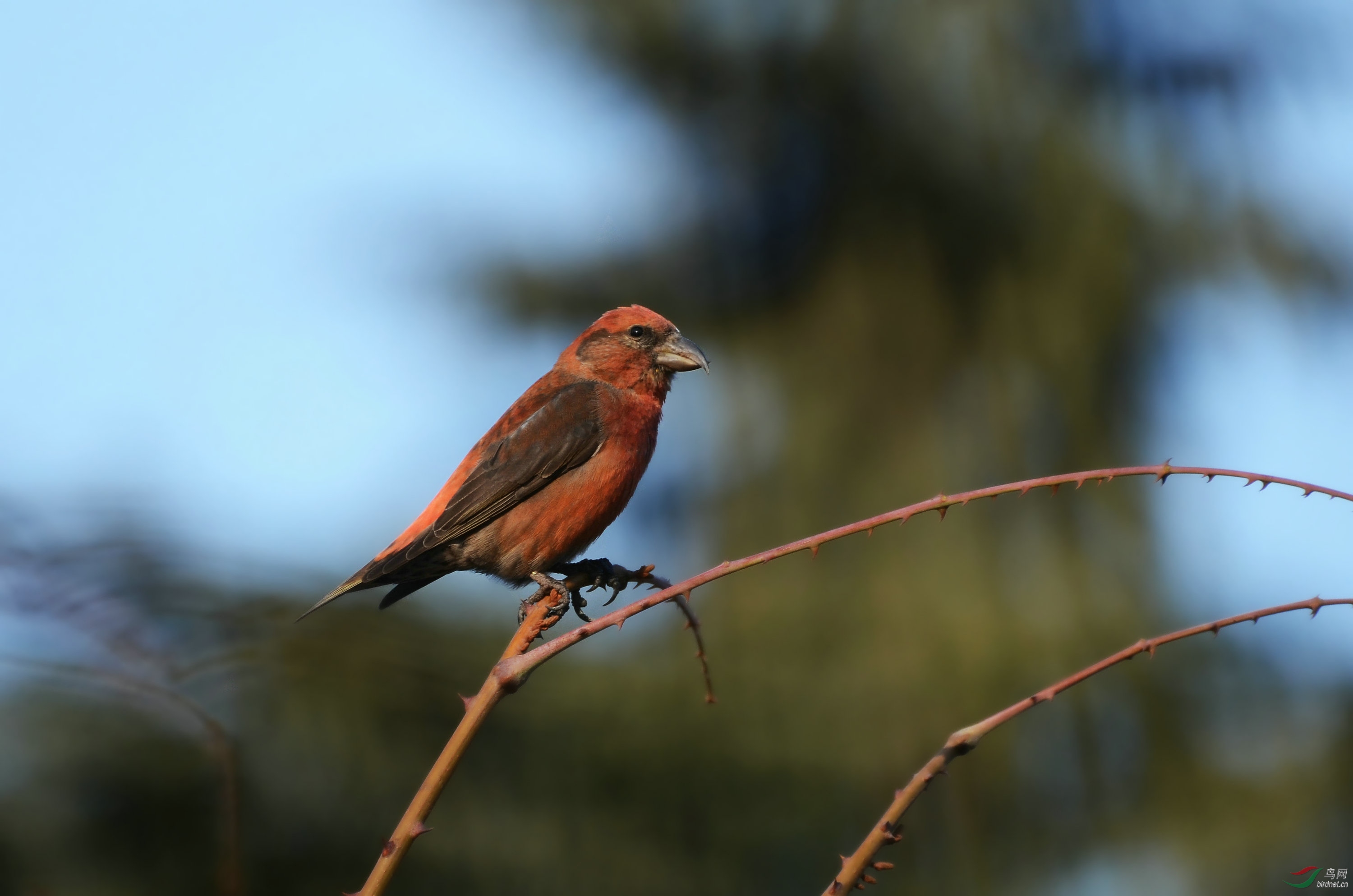 DSC_3661.JPG
