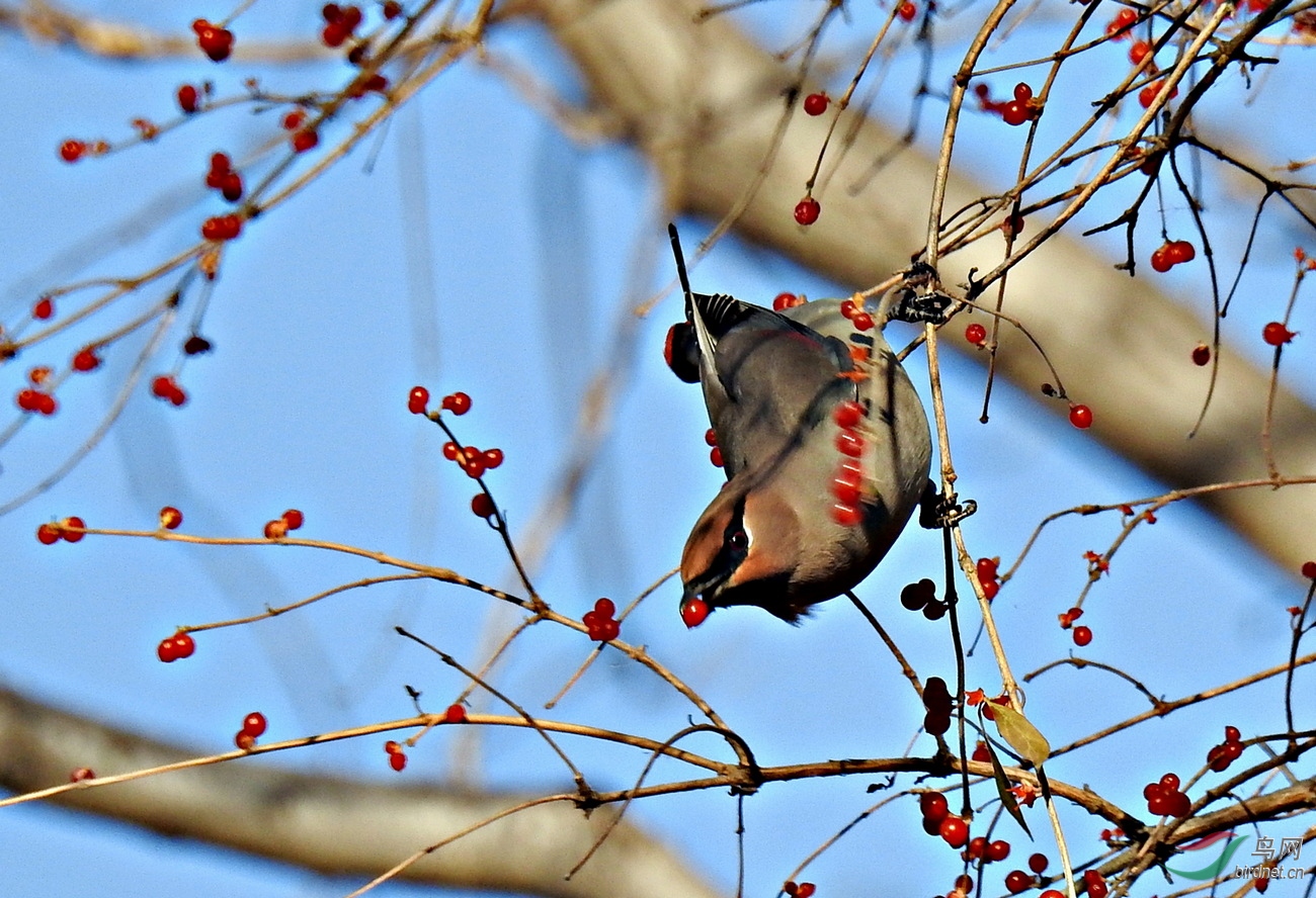 DSCN9561.JPG
