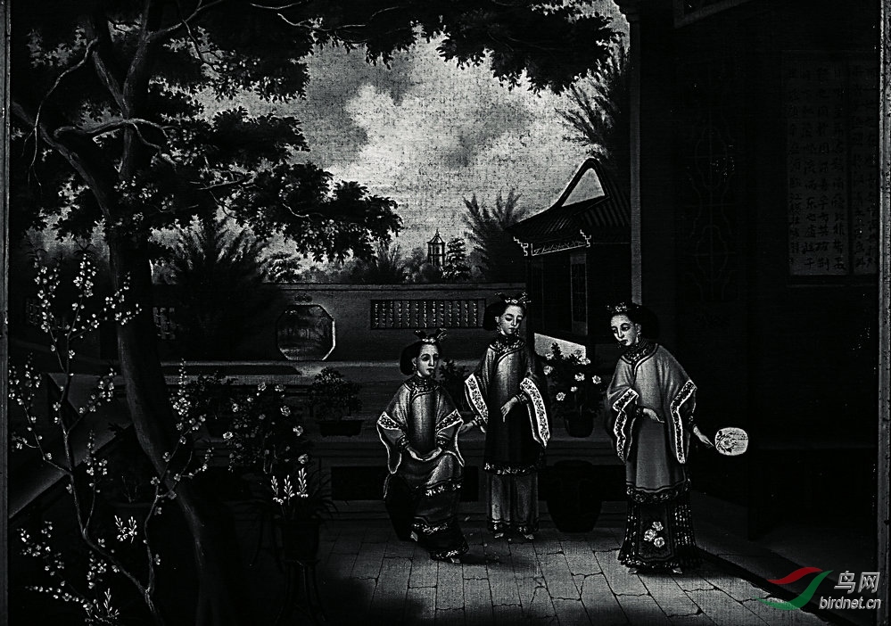 BW6I3494_����_����1_����.jpg