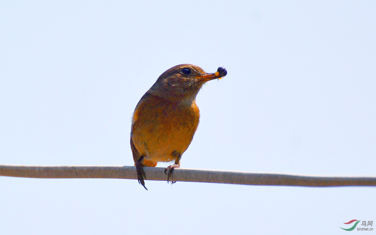 DSC_8626.JPG