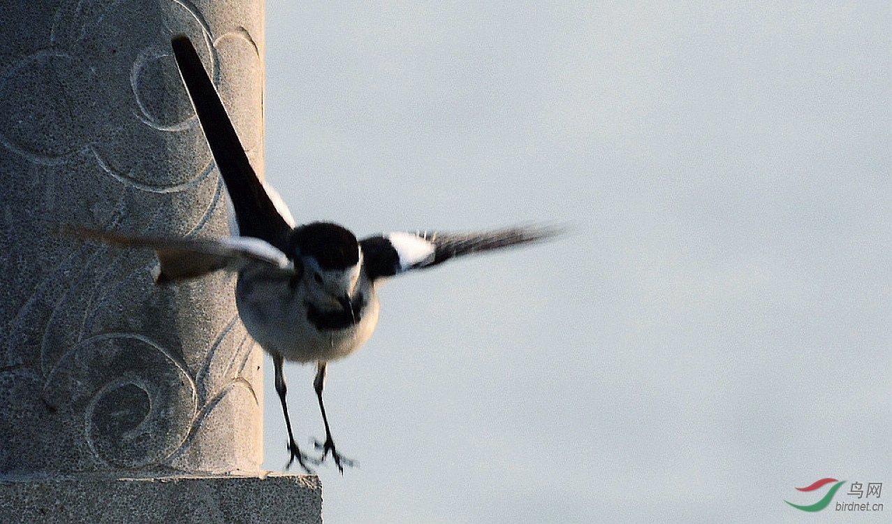DSC_6165.JPG