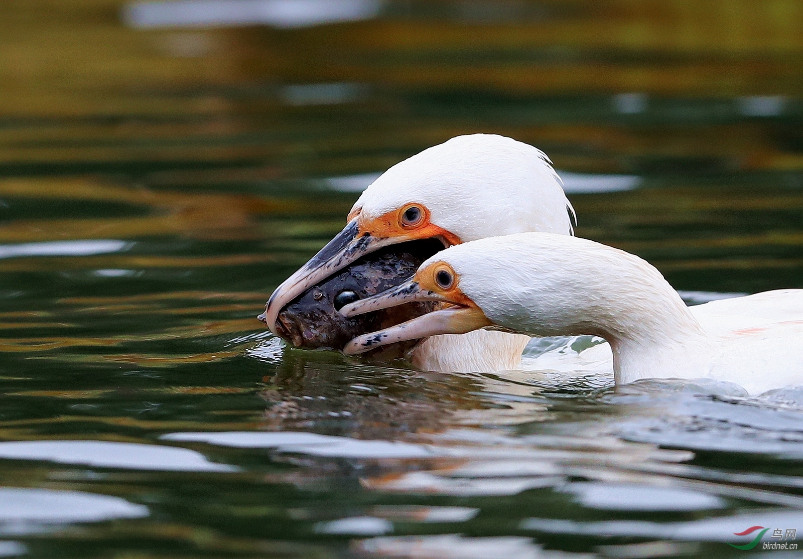 AI0I3301 - ����.JPG