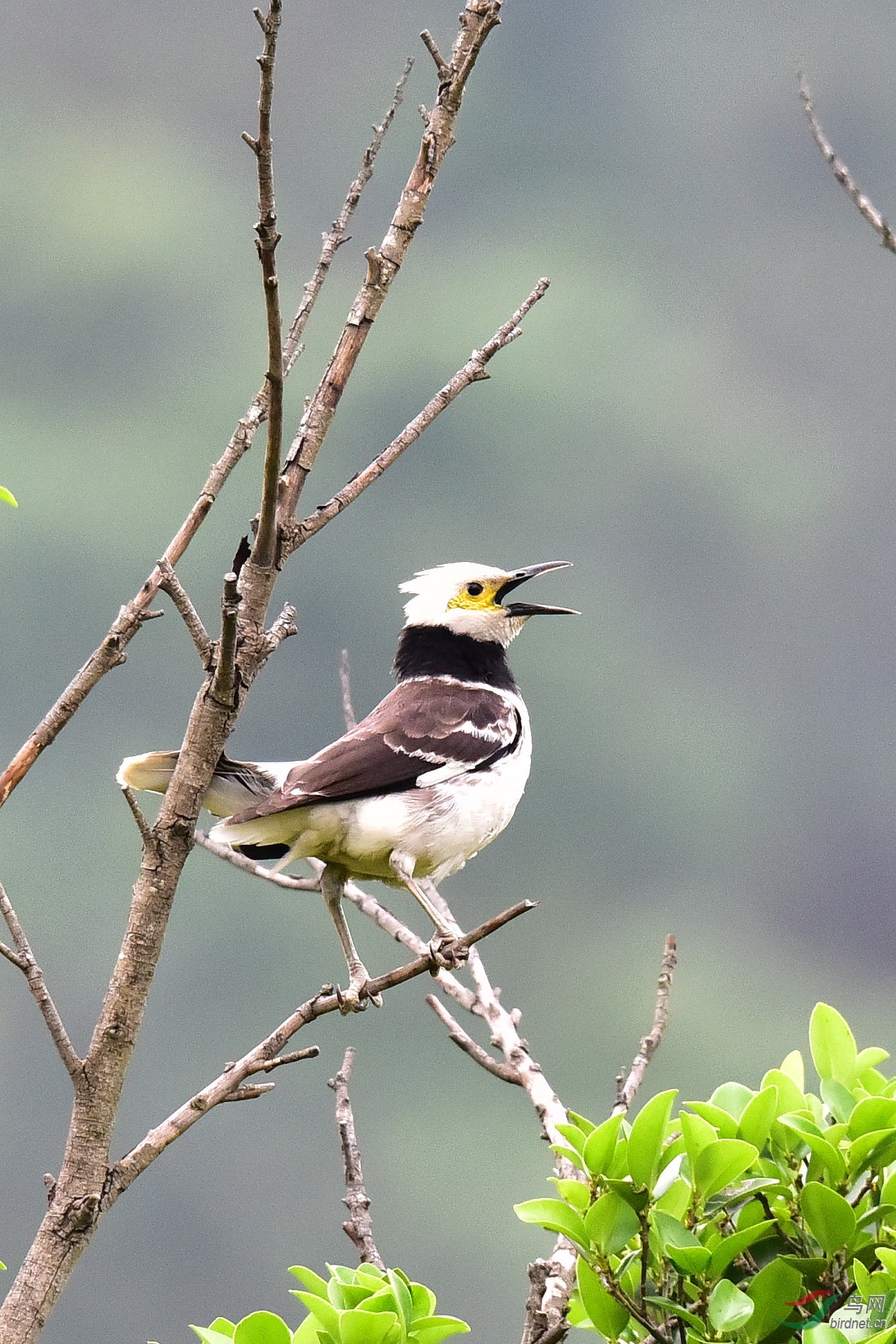 DSC_0384.JPG