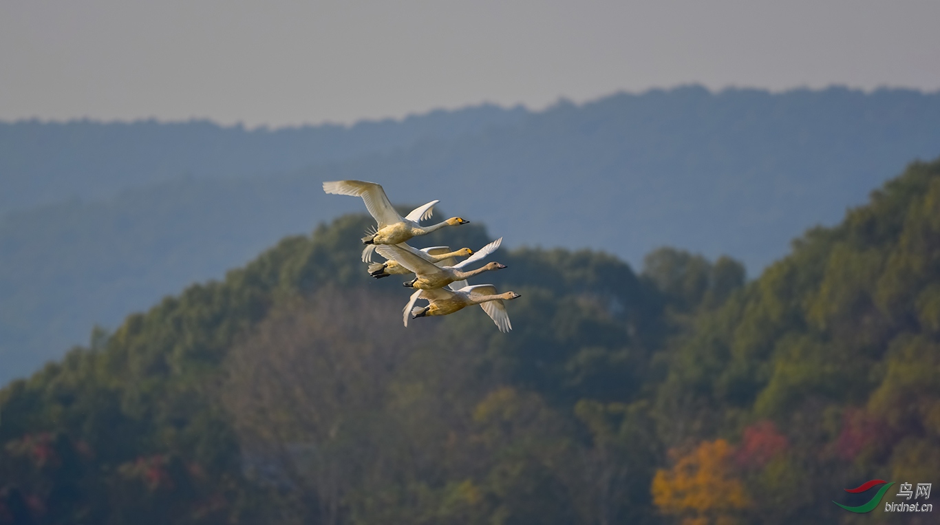DSC_2840.JPG