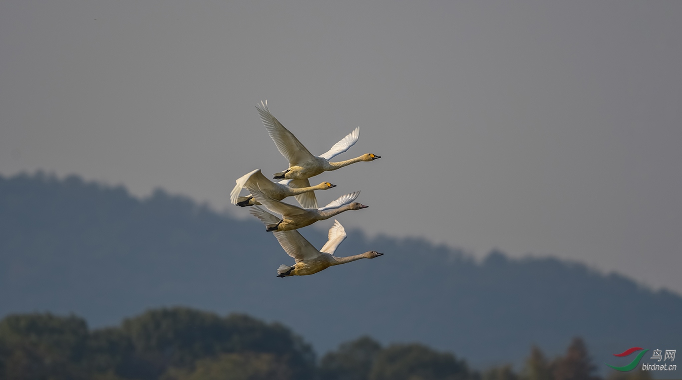 DSC_2842.JPG