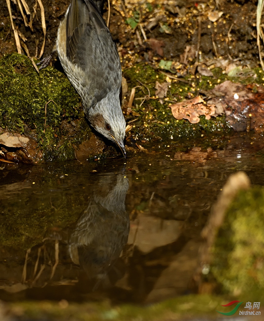 _DSC7520_00001_����.jpg