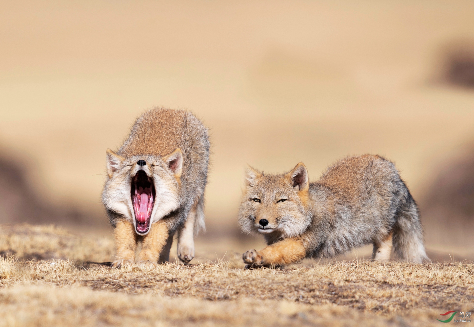 0016. 10720_�غ���_����(����)��Ӱ.jpg