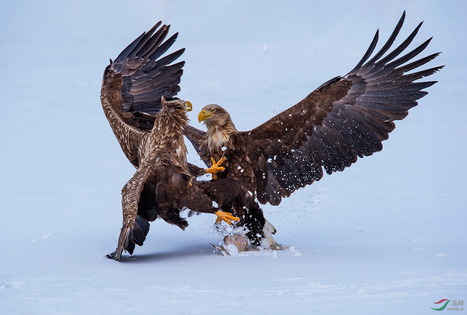 0018. 10722_һצ����_����(����)��Ӱ.jpg