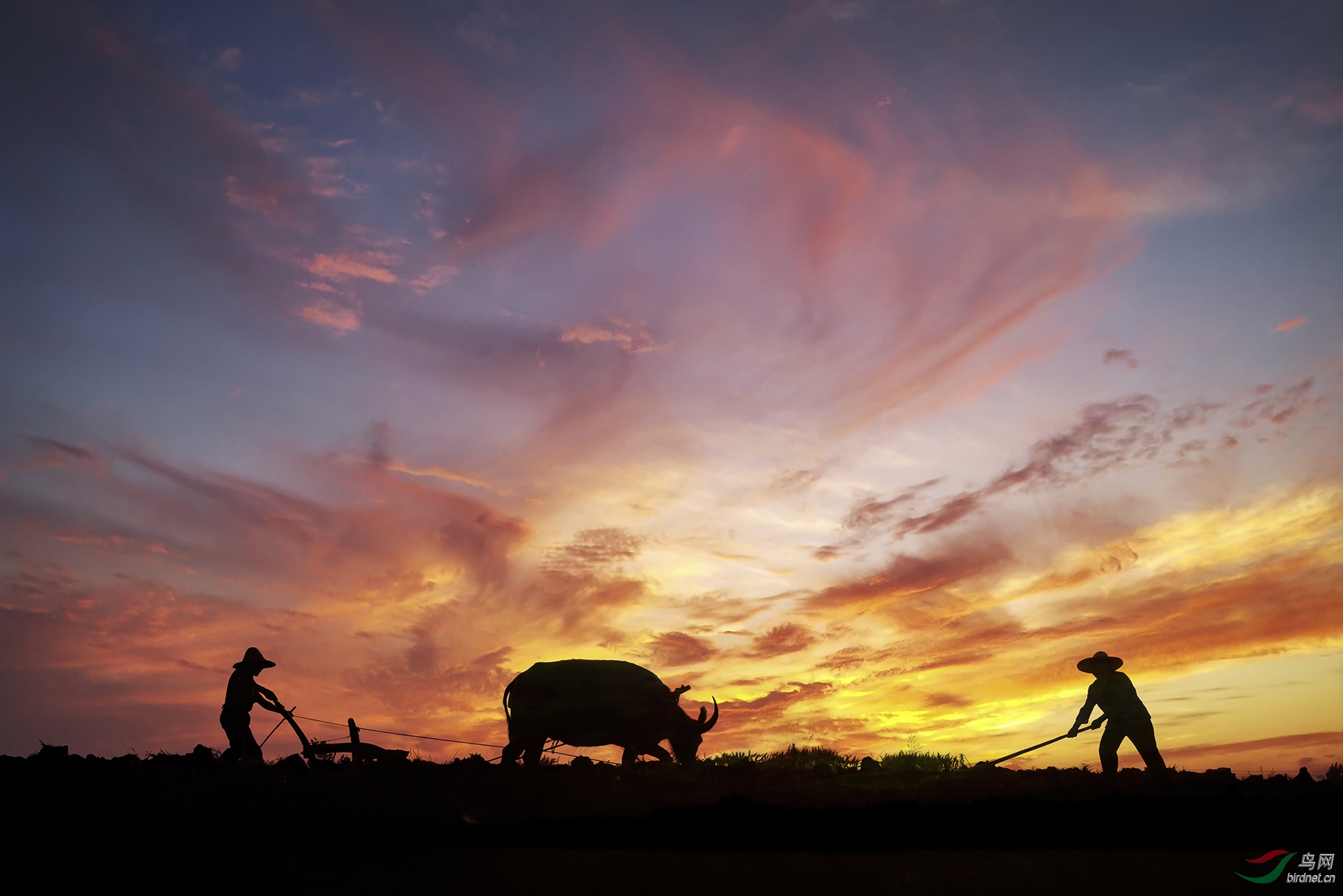 0029. 10752_Twilight_����(����)��Ӱ.jpg