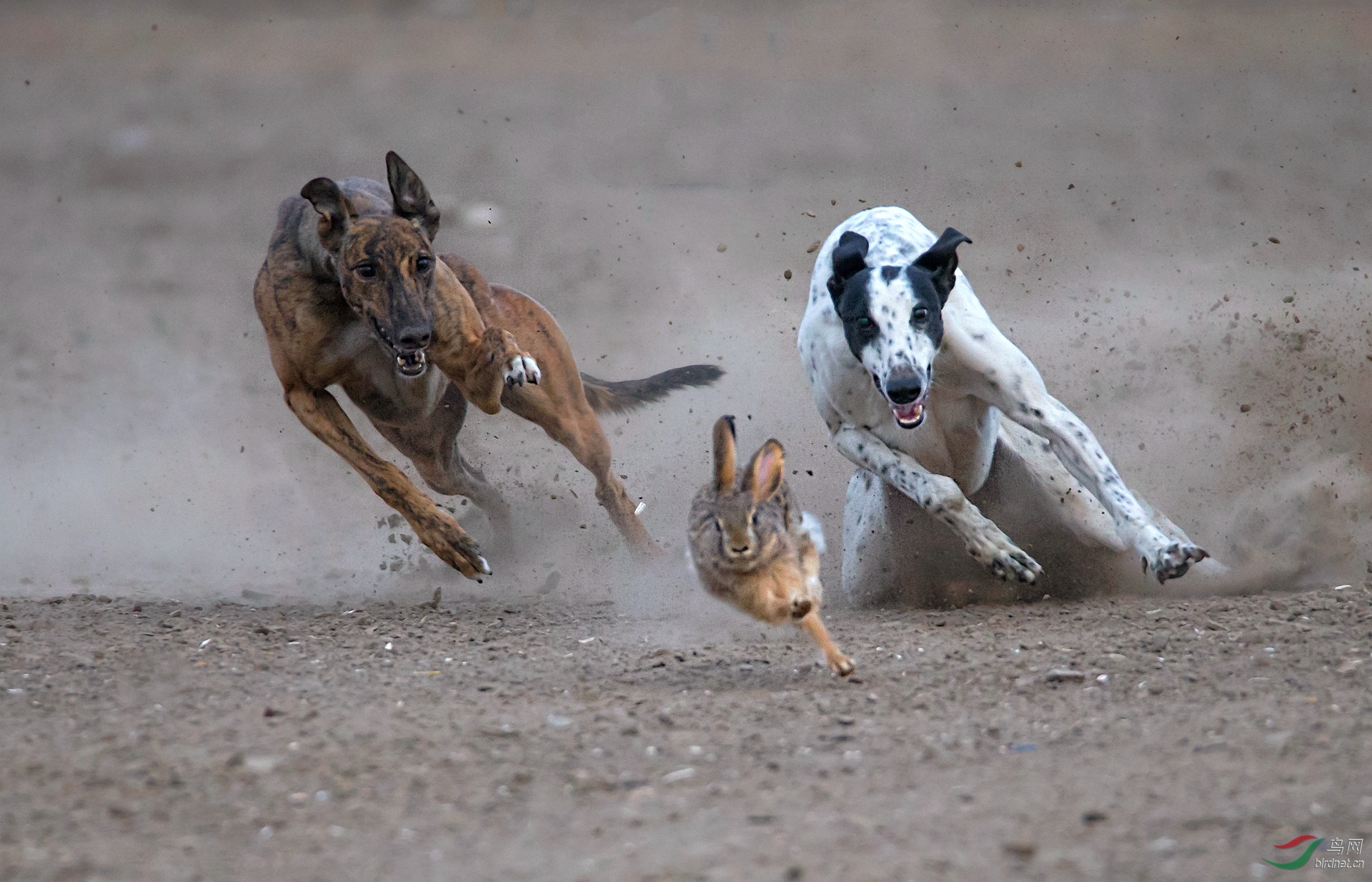 0032. 10782_��ԭ����_����(����)��Ӱ.jpg