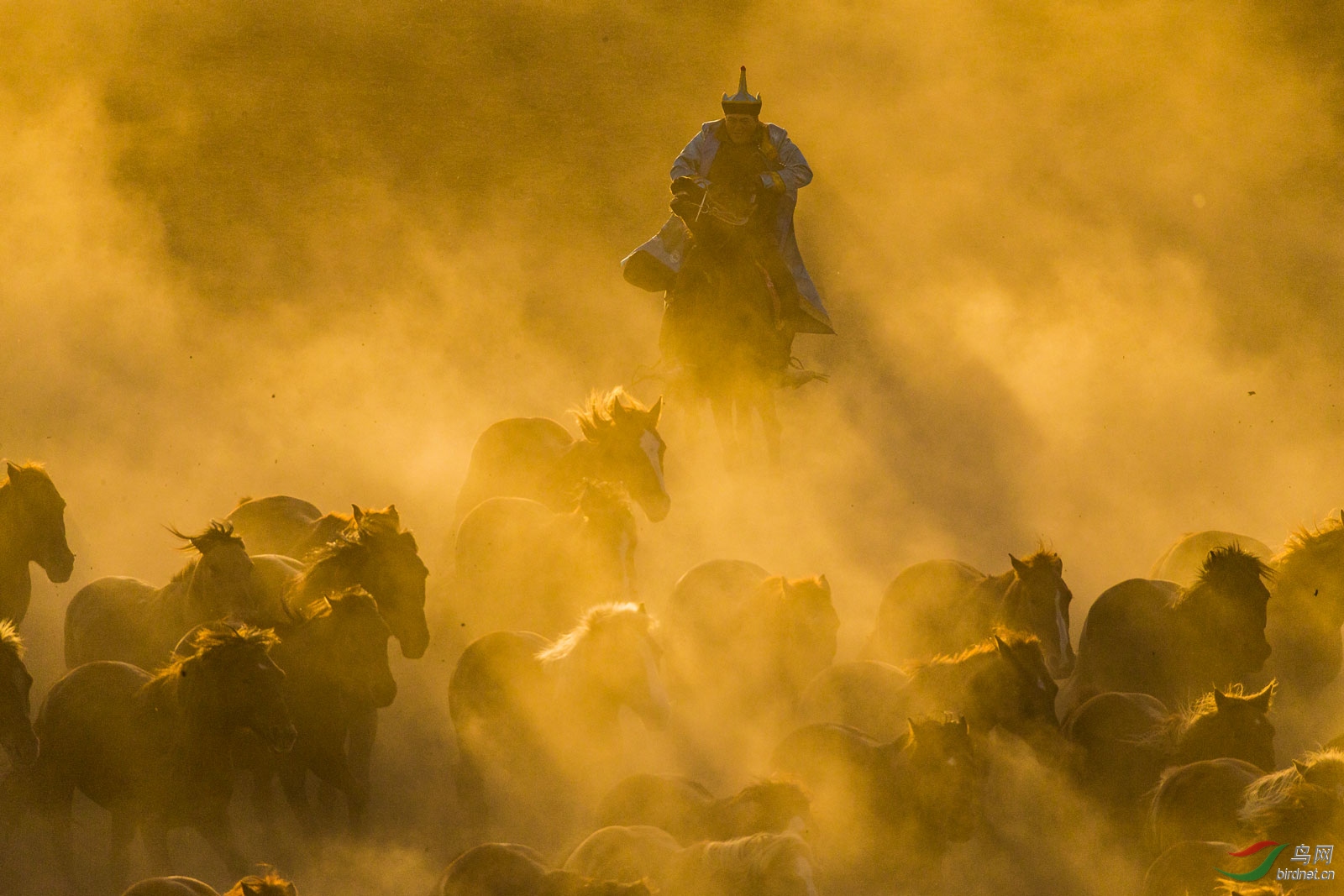 0030. 10762_Ⱥ������_����(����)��Ӱ.jpg