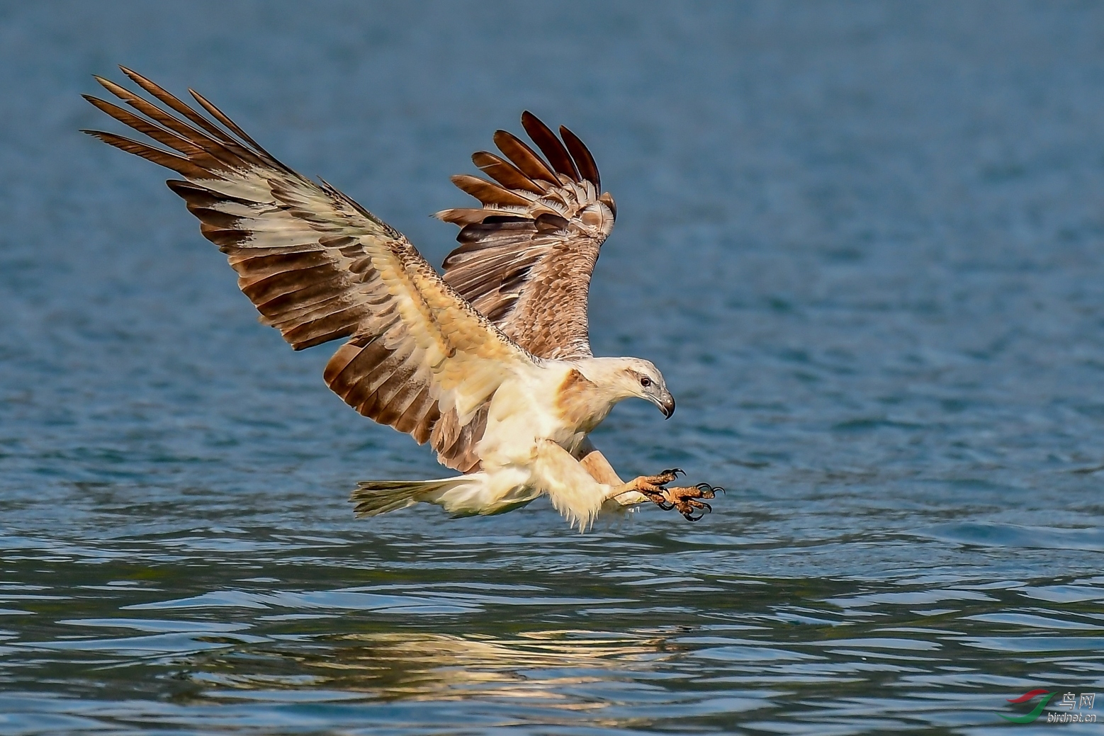 0071. 10921_����_����(����)��Ӱ.jpg