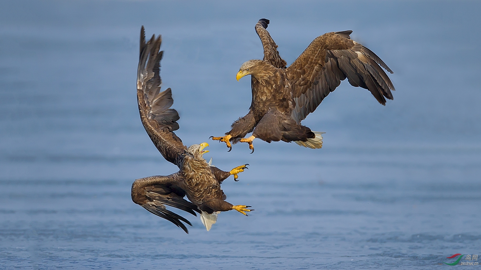 0076. 10938_��ս_����(����)��Ӱ.jpg