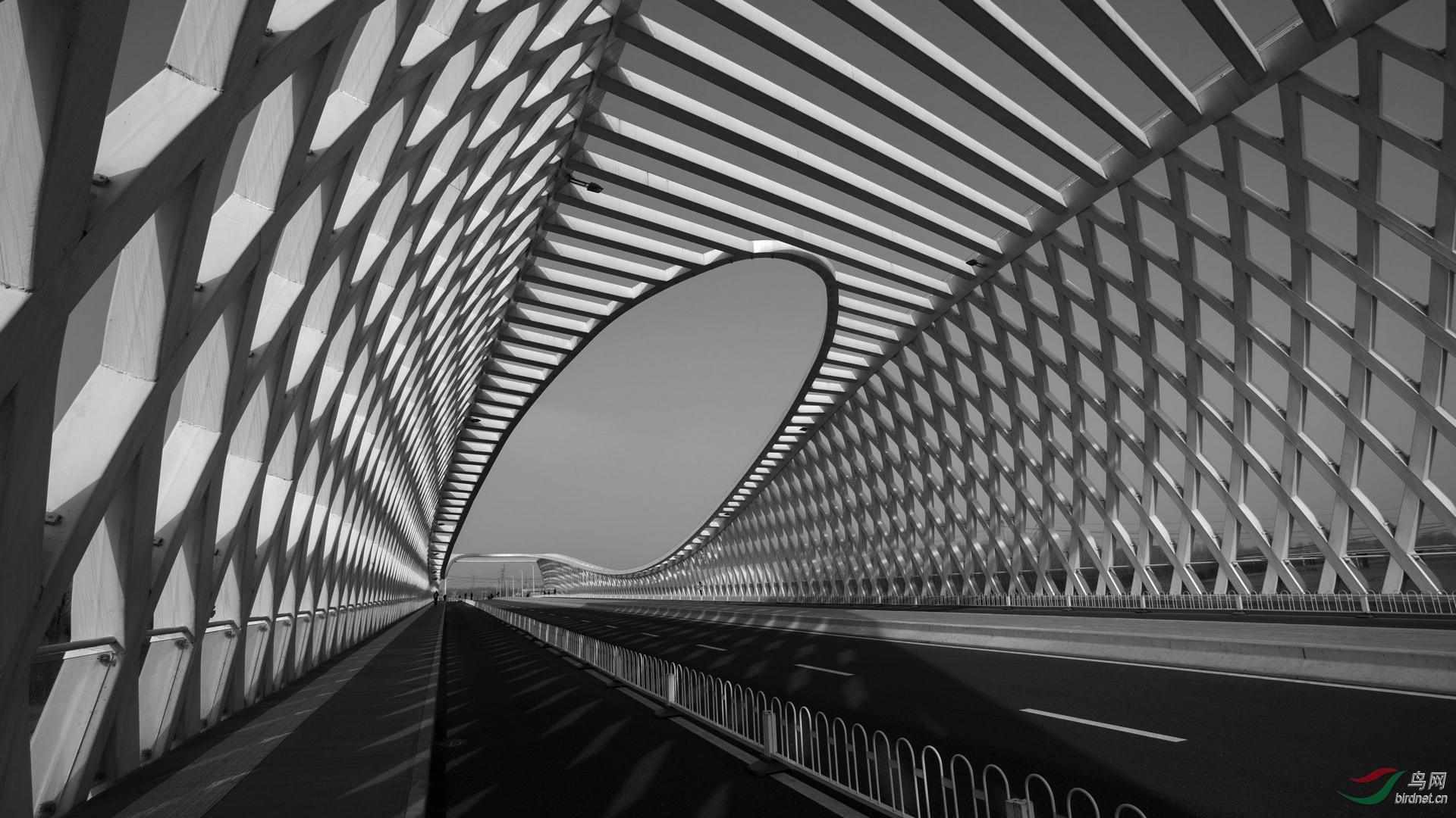 0128. 11177_��_����(����)��Ӱ.jpg