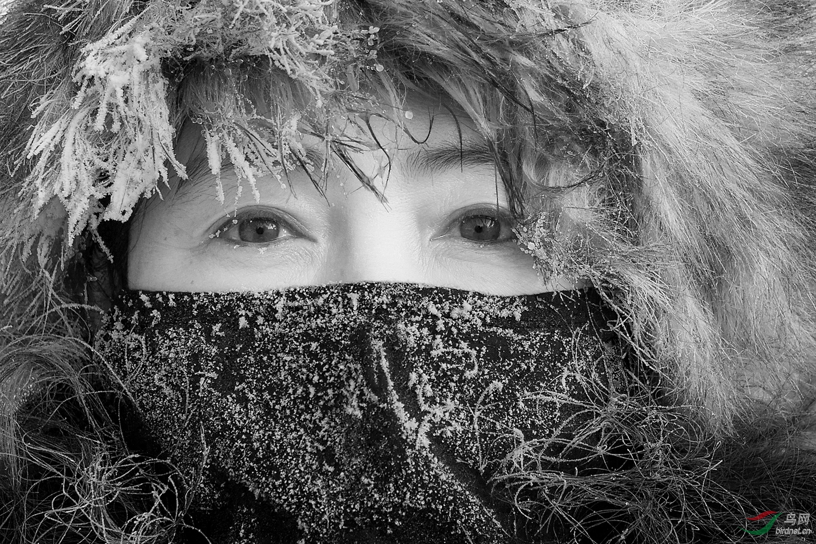 0142. 11291_����Ů��_����(����)��Ӱ.jpg