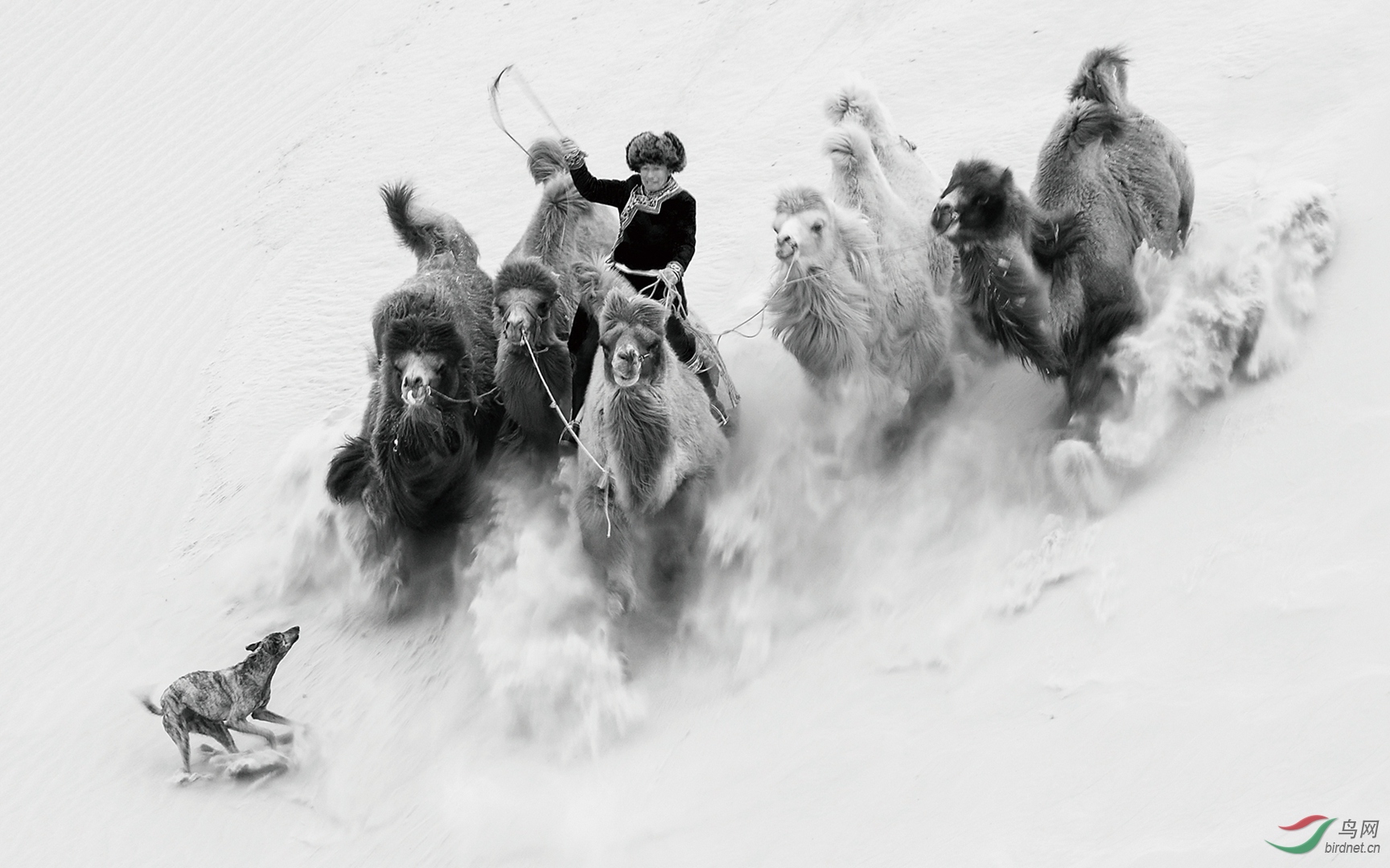 0148. 11297_ɳĮ����_����(����)��Ӱ.jpg