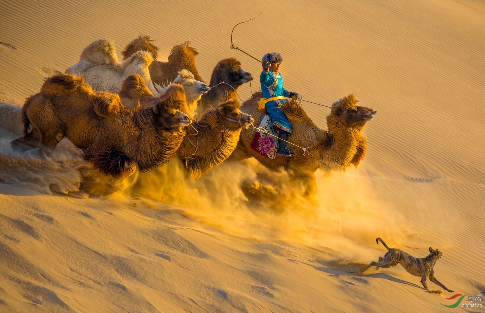 0147. 11296_����ɳĮ_����(����)��Ӱ.jpg