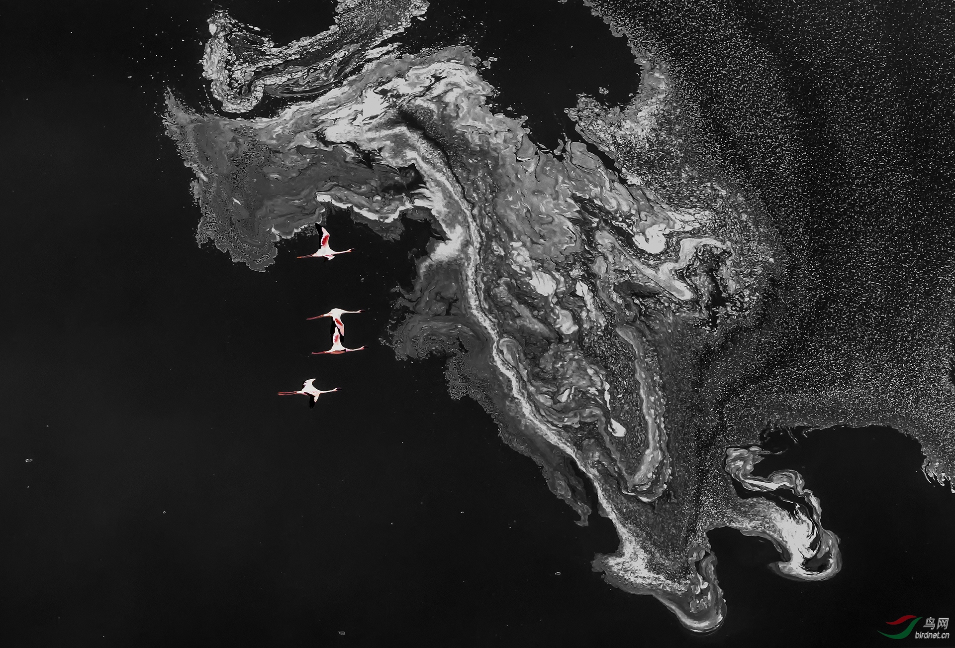 0252. 11899_��ϵ����_����(����)��Ӱ.jpg