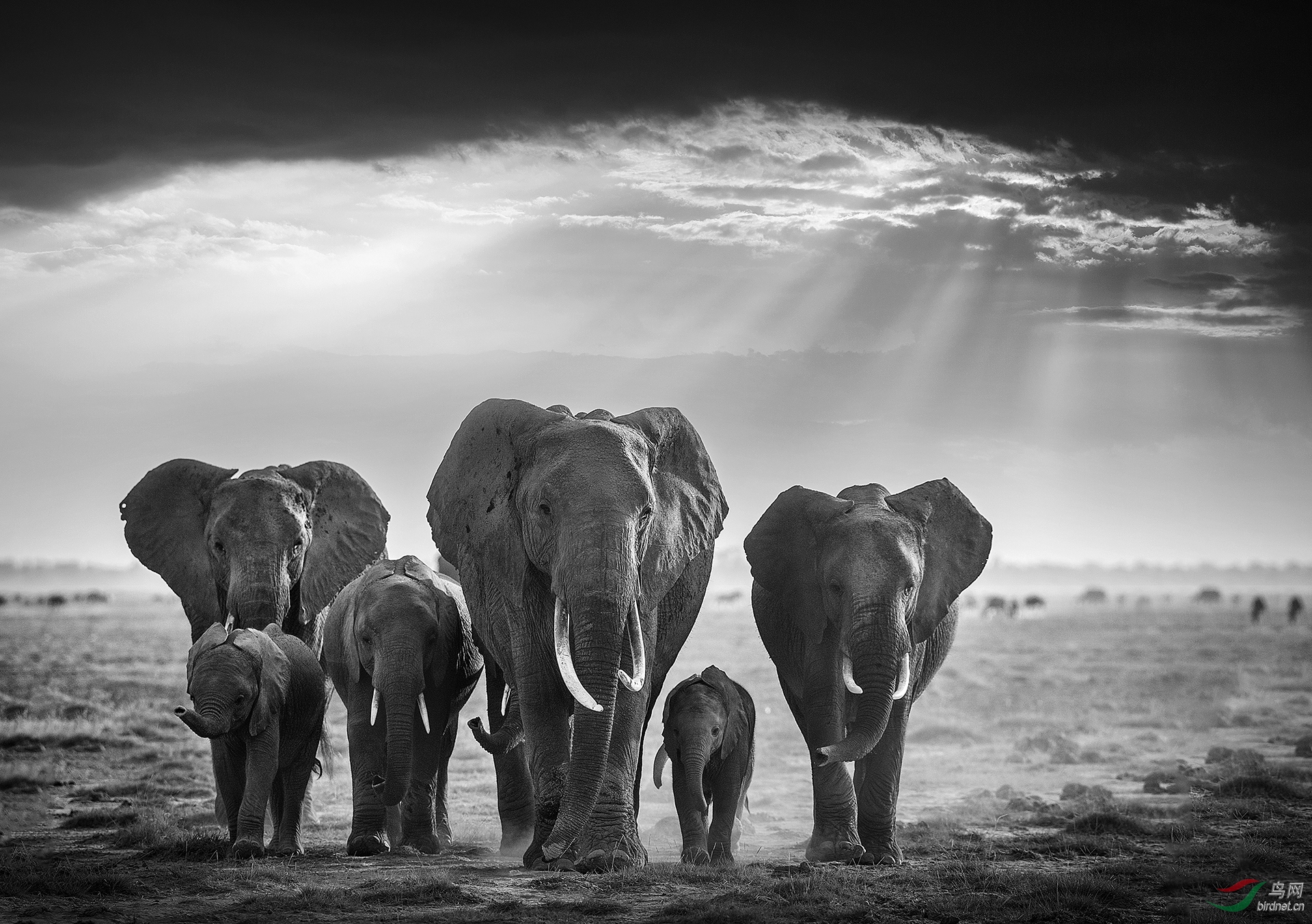 0280. 12030_ĺ��_����(����)��Ӱ.jpg