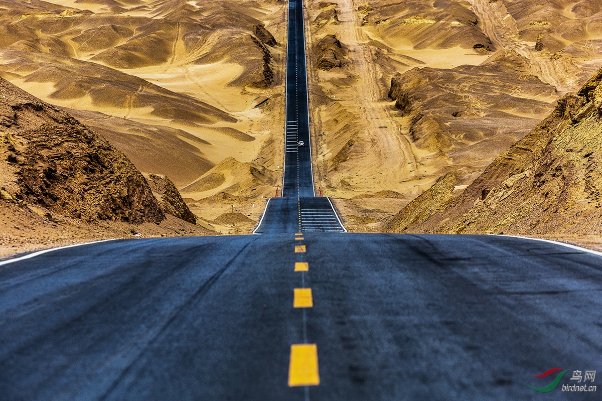 0316. 12096_��·_����(����)��Ӱ.jpg