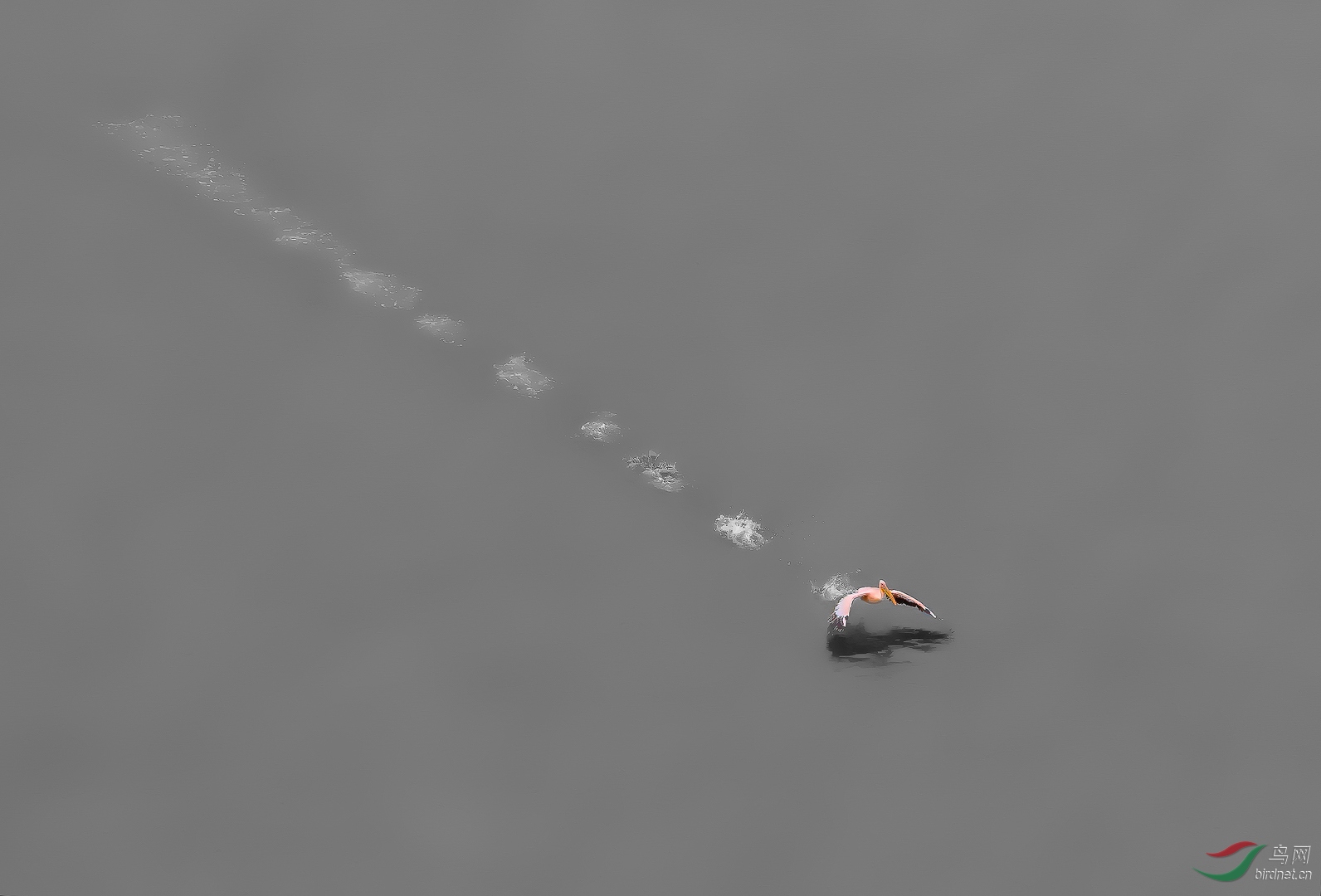 0350.Taking off-ʯӢ���ô�.jpg