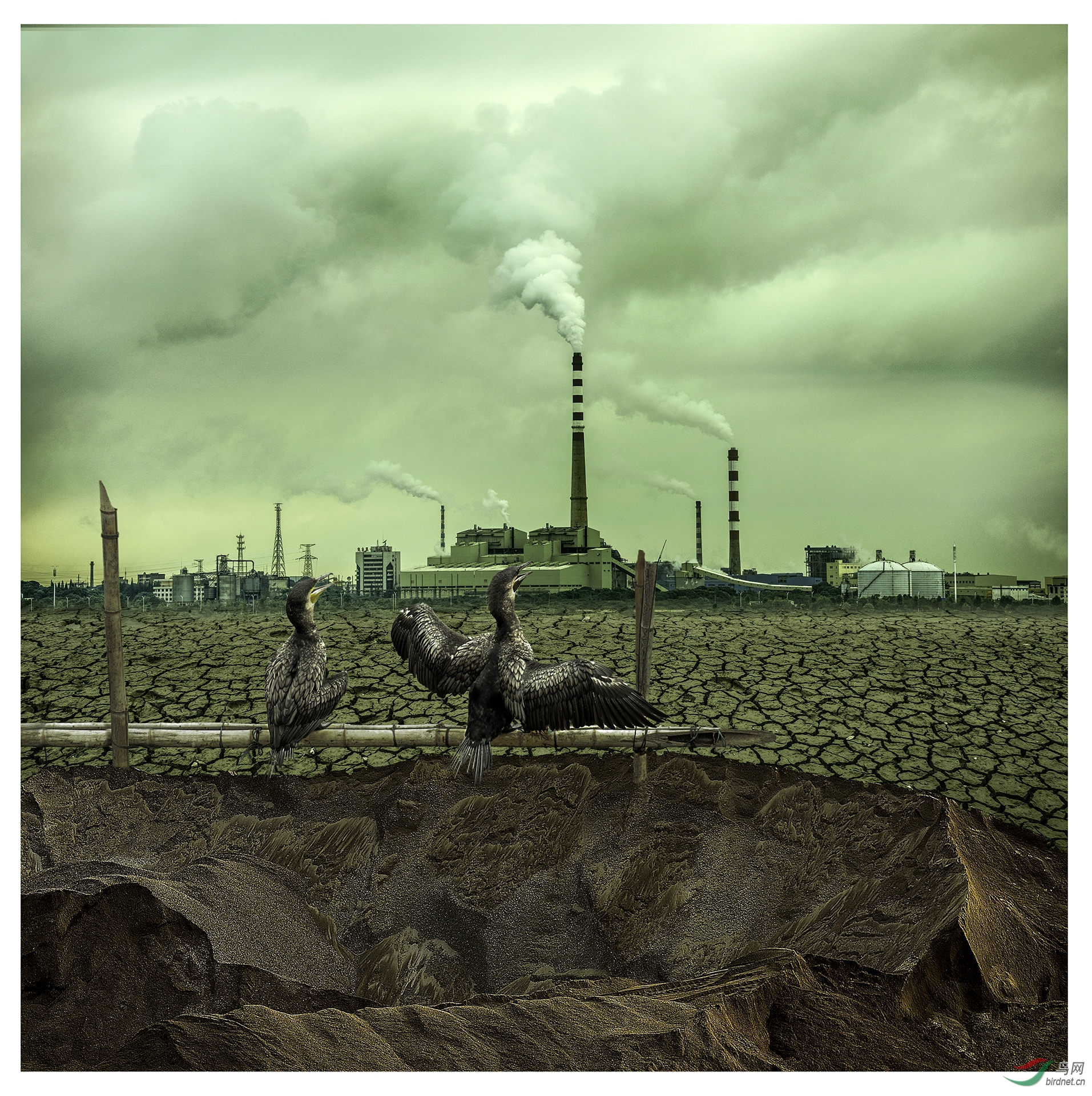 0772.��԰ ����������-�ſ�-����.jpg