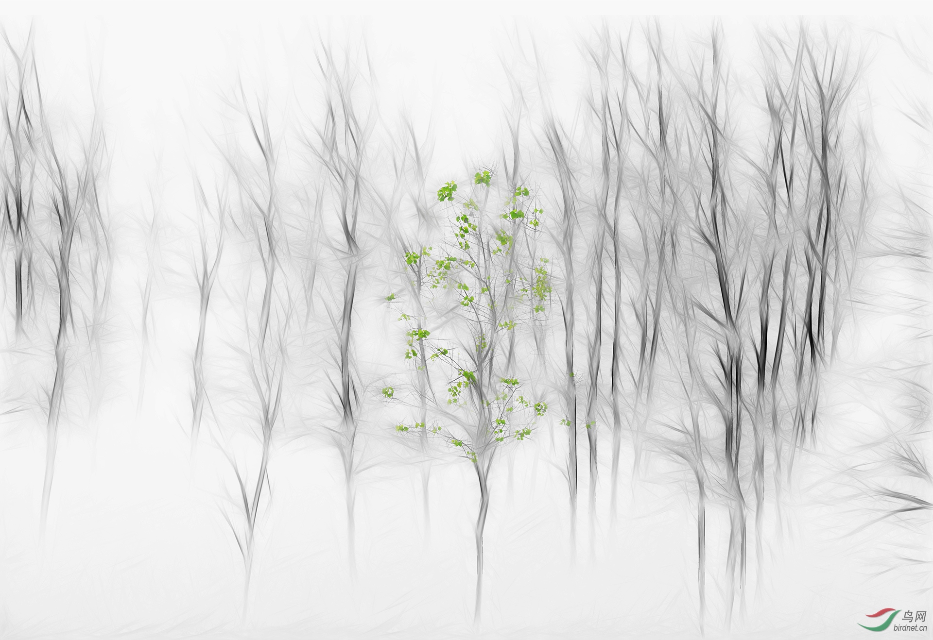 1200.���� ����-����~����.jpg