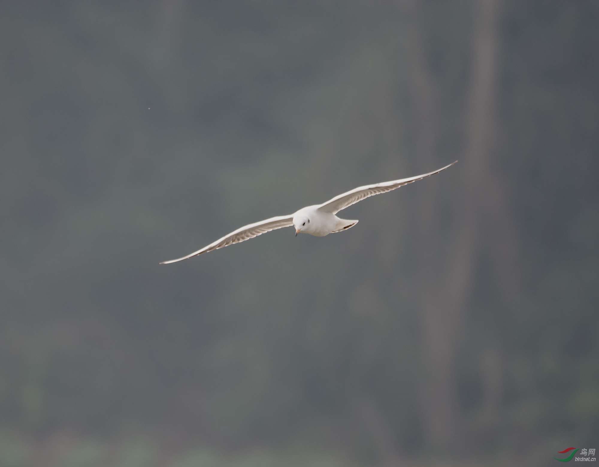 DSC_5432.jpg