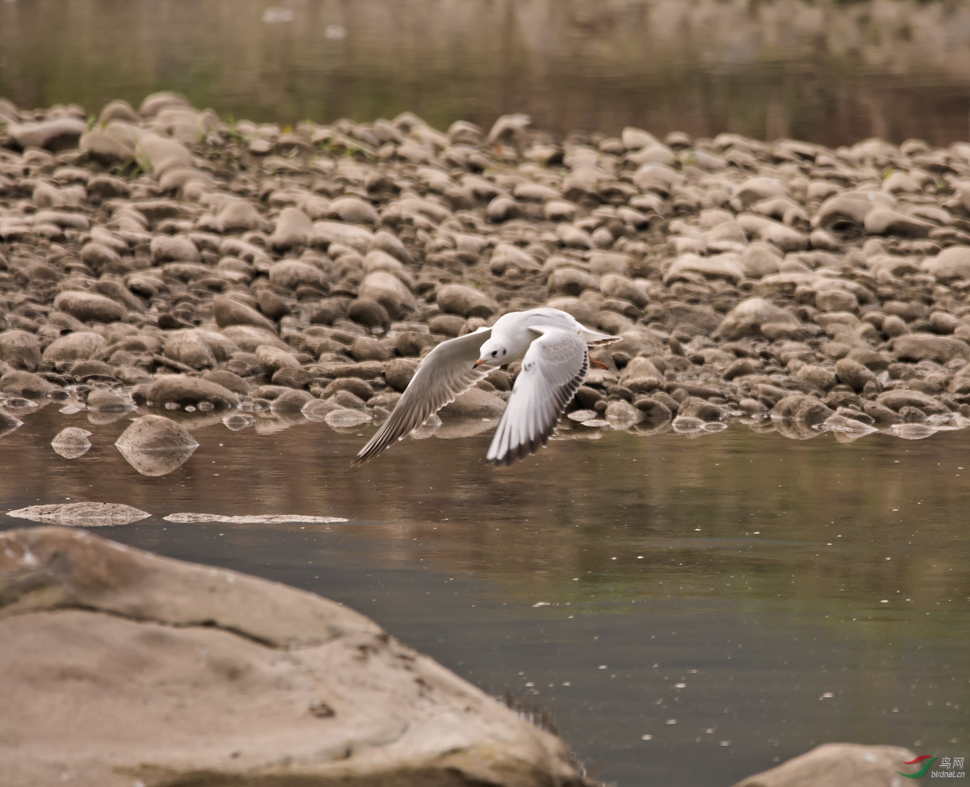 DSC_5428.jpg