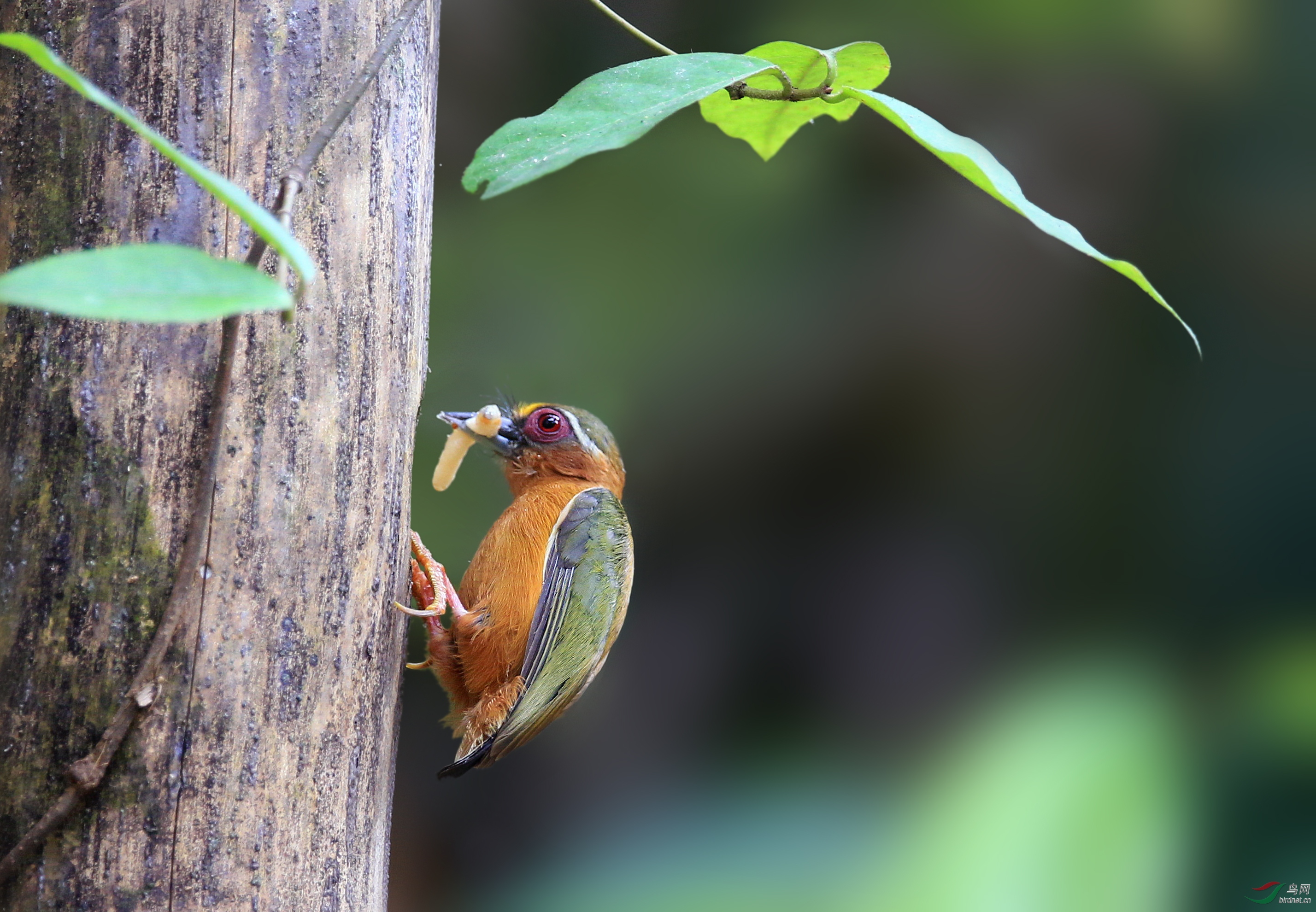 0012. 10694_��ü����ľ��_Ū��������-��ŭ�Ĵ���.jpg