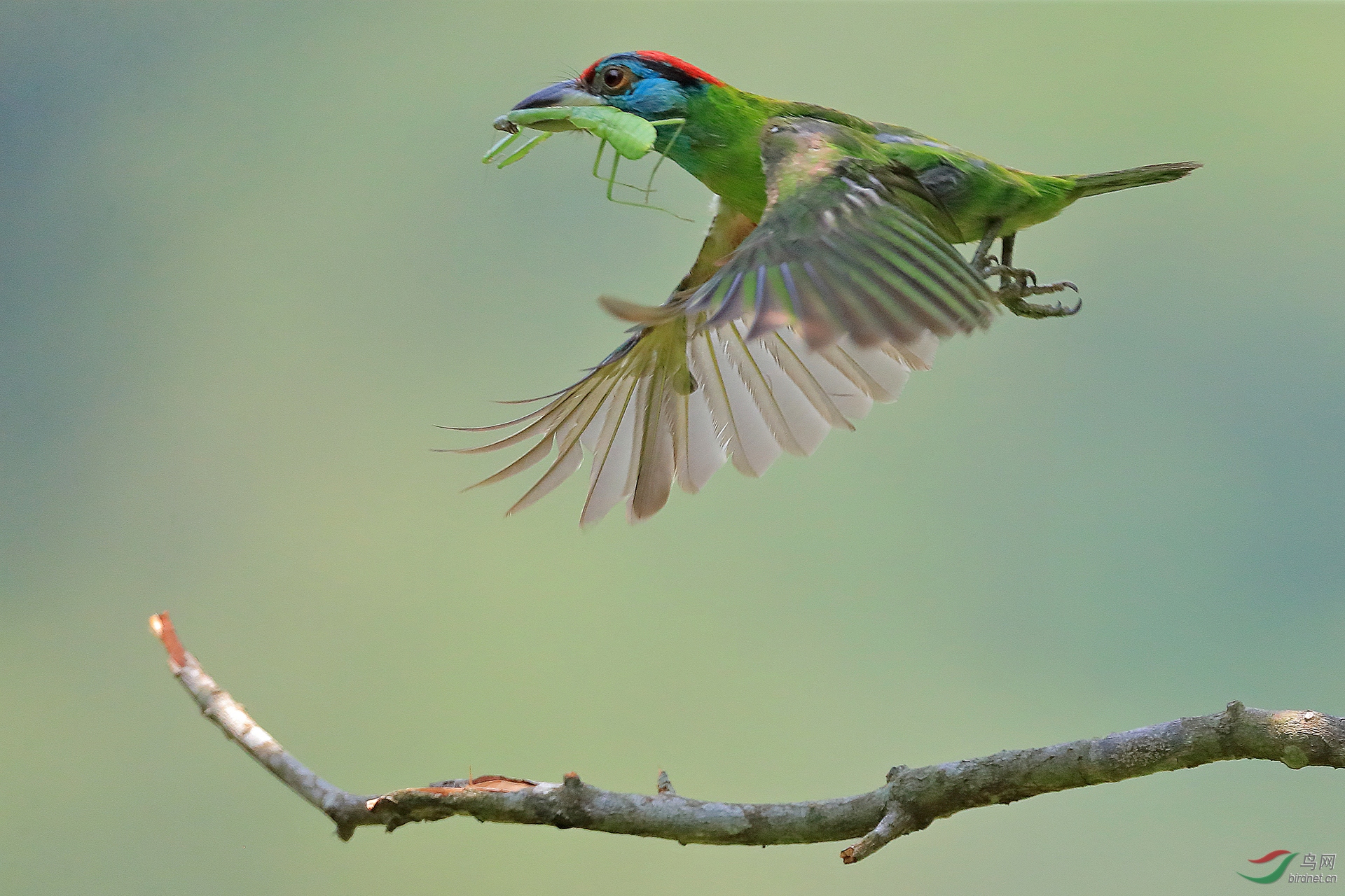 0080.ι��ȥ ̷�˺�.jpg