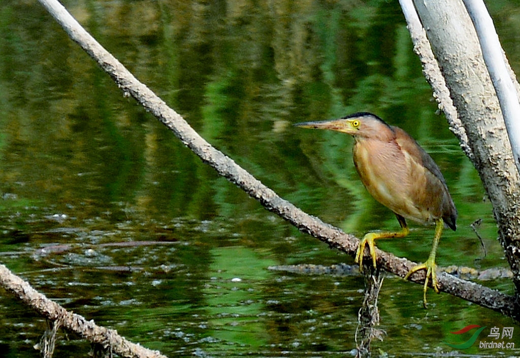 DSC_5879.JPG