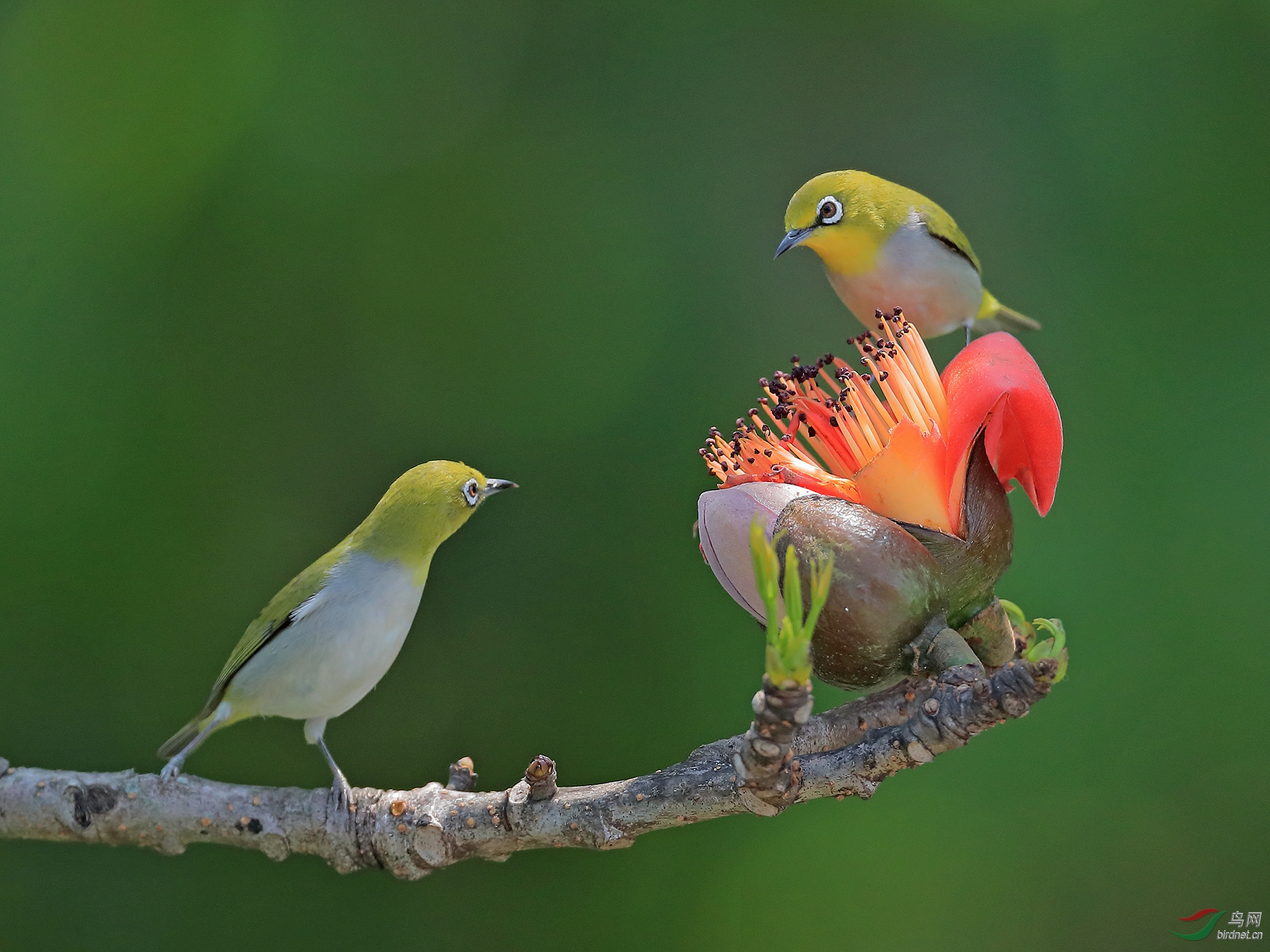 0148.�������� ̷�˺�.jpg